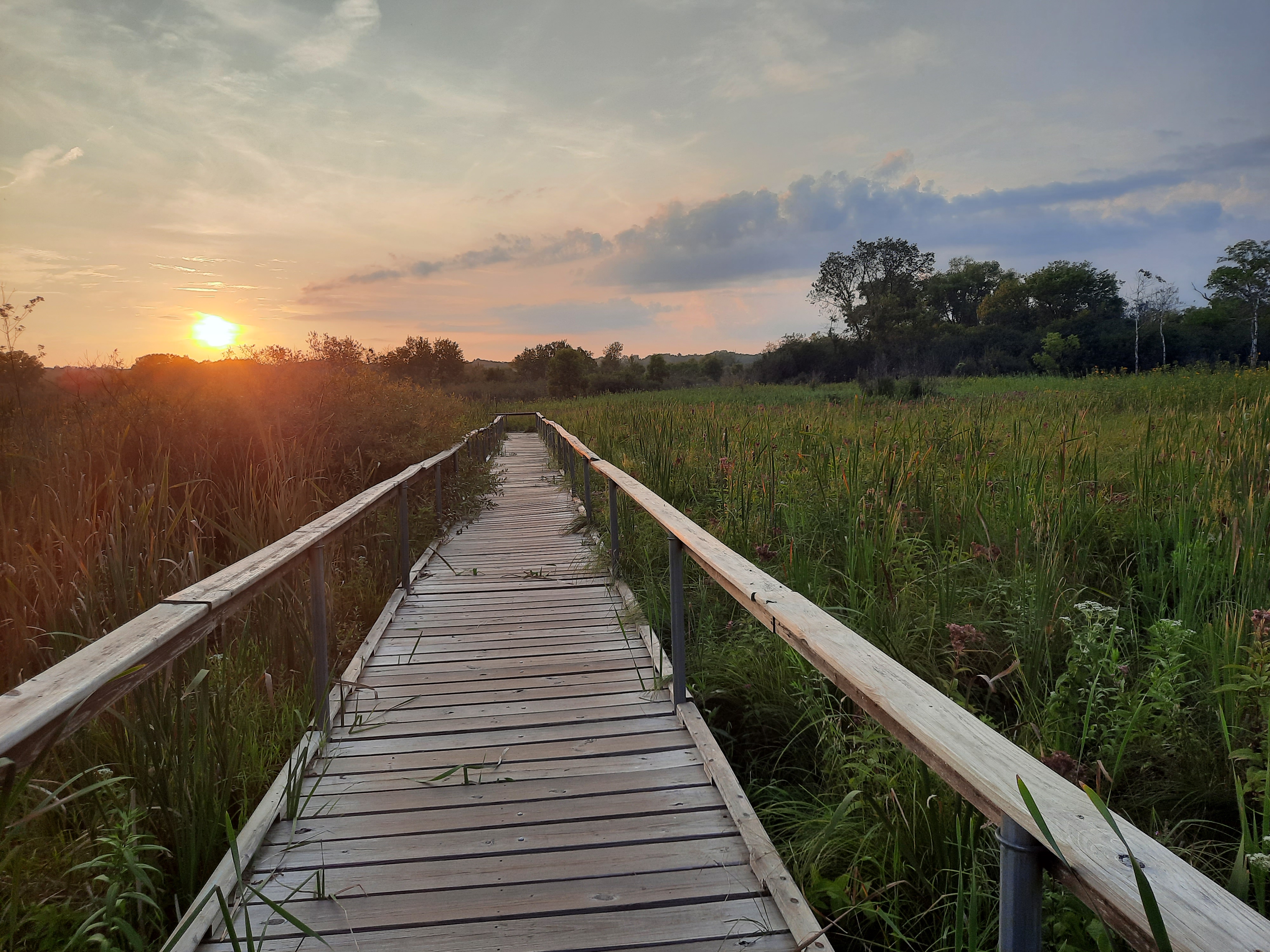 Kishwauketoe Nature Conservancy photo 3
