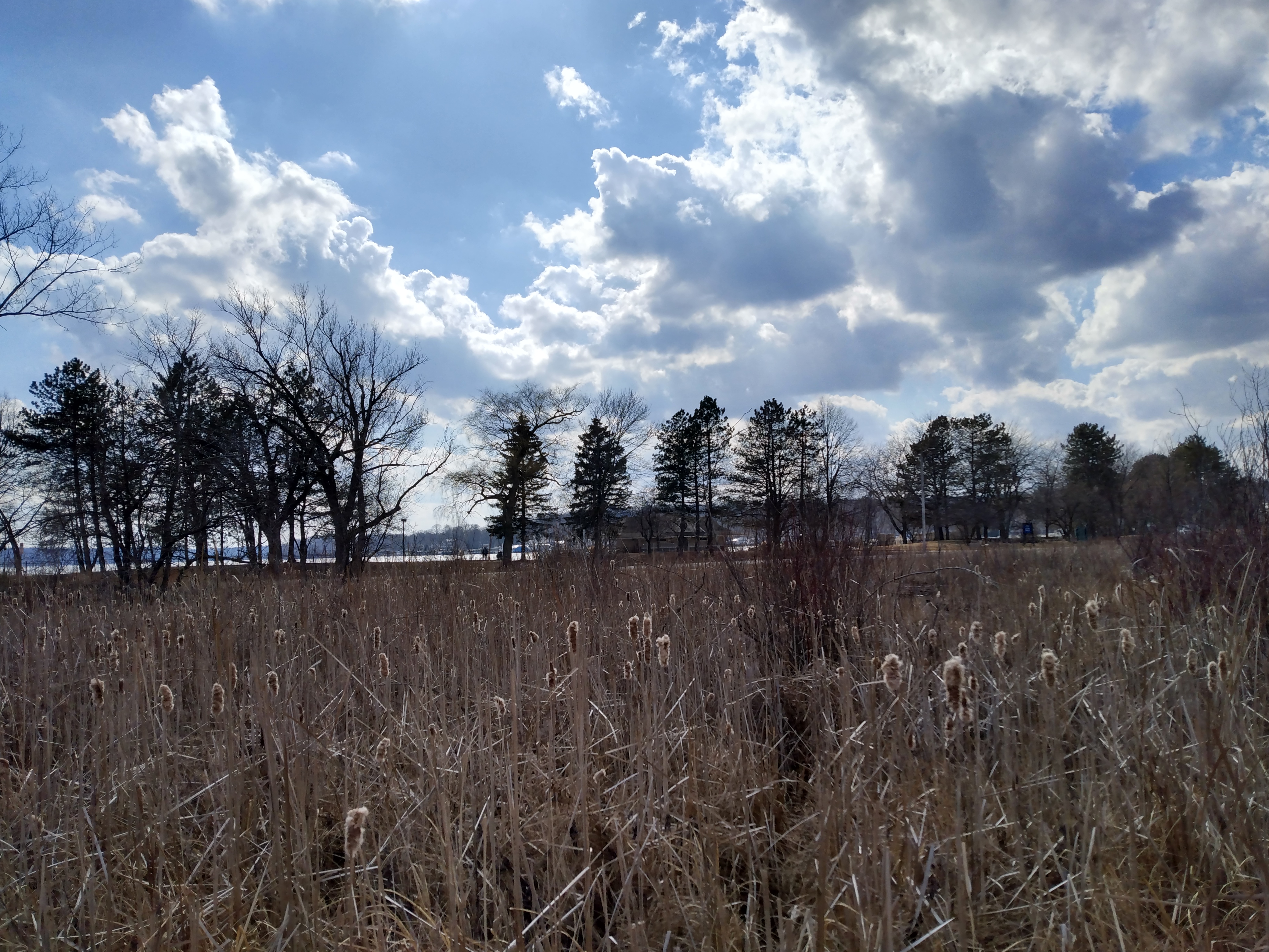 Kishwauketoe Nature Conservancy photo 5