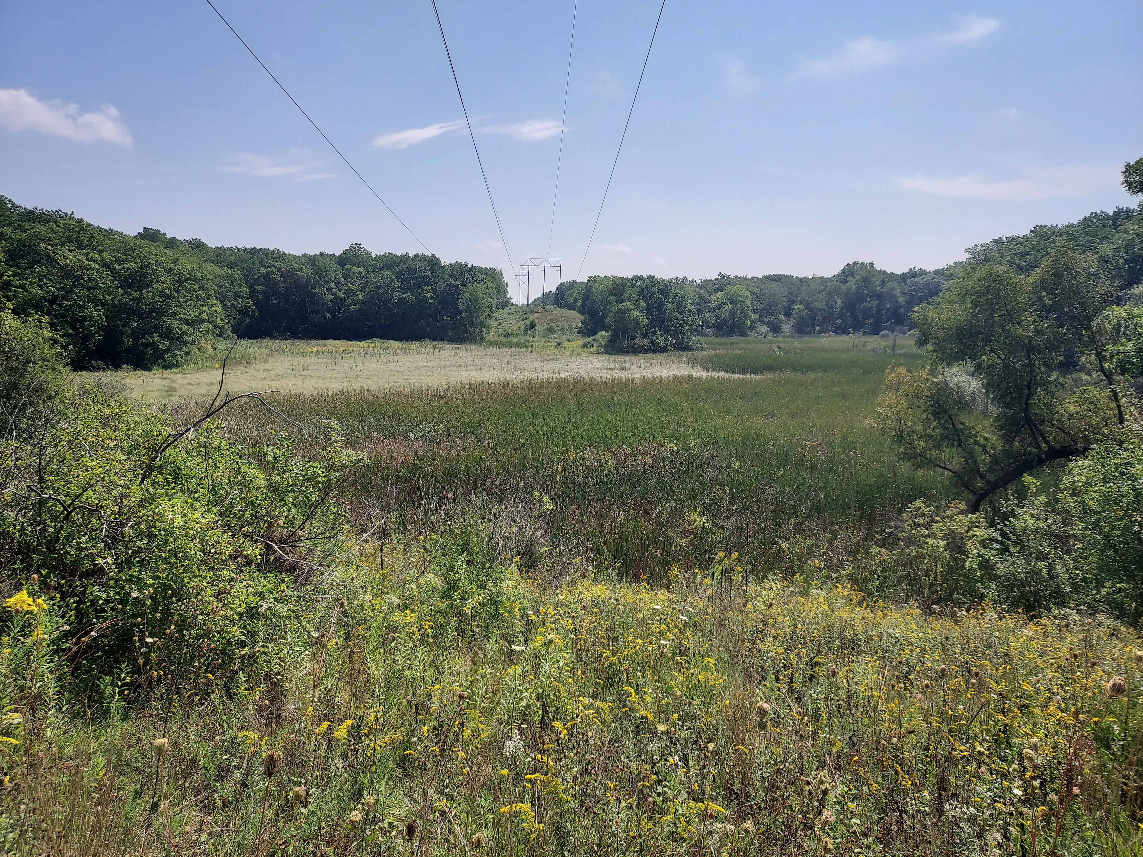 Wehmhoff Woodland Preserve