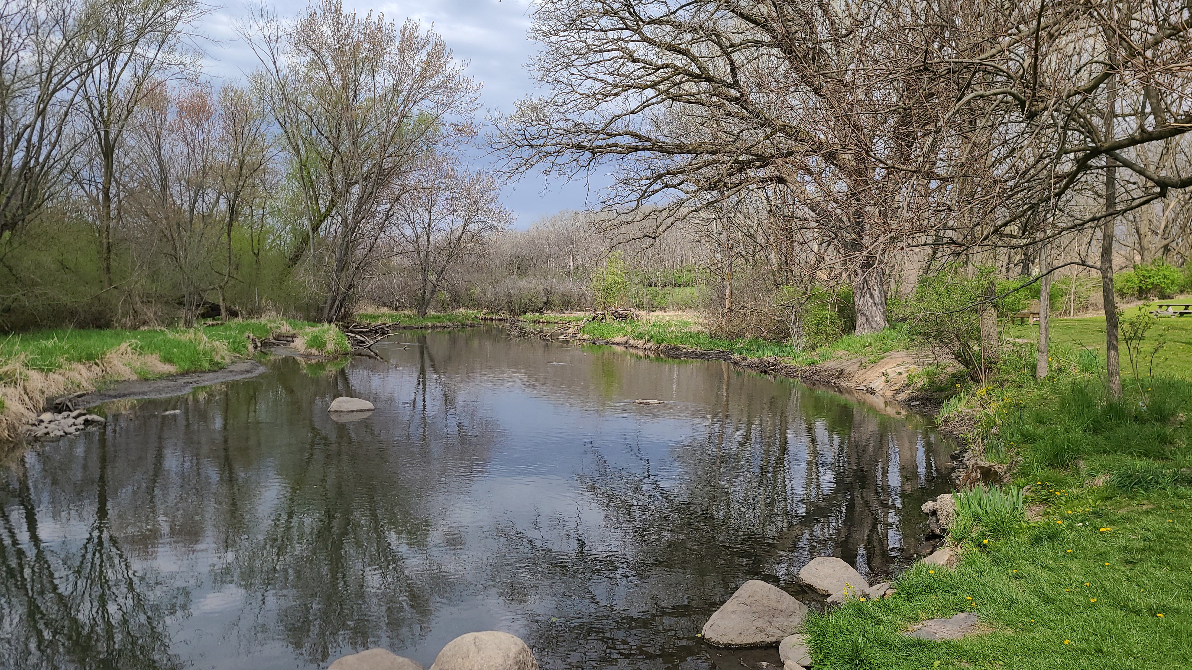 Wehmhoff Woodland Preserve photo 4