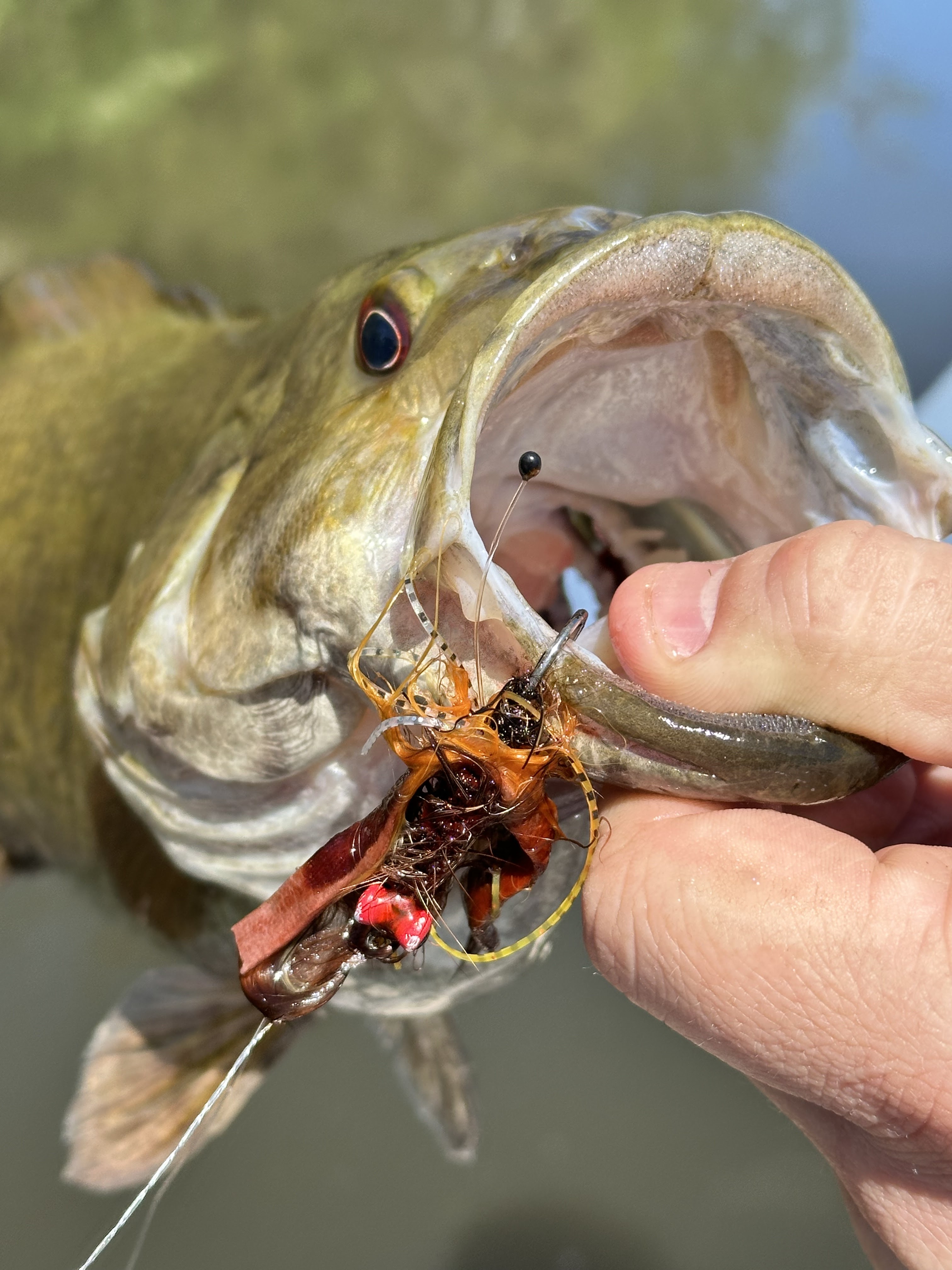 In The Flow Fly Fishing Guide Service photo 3