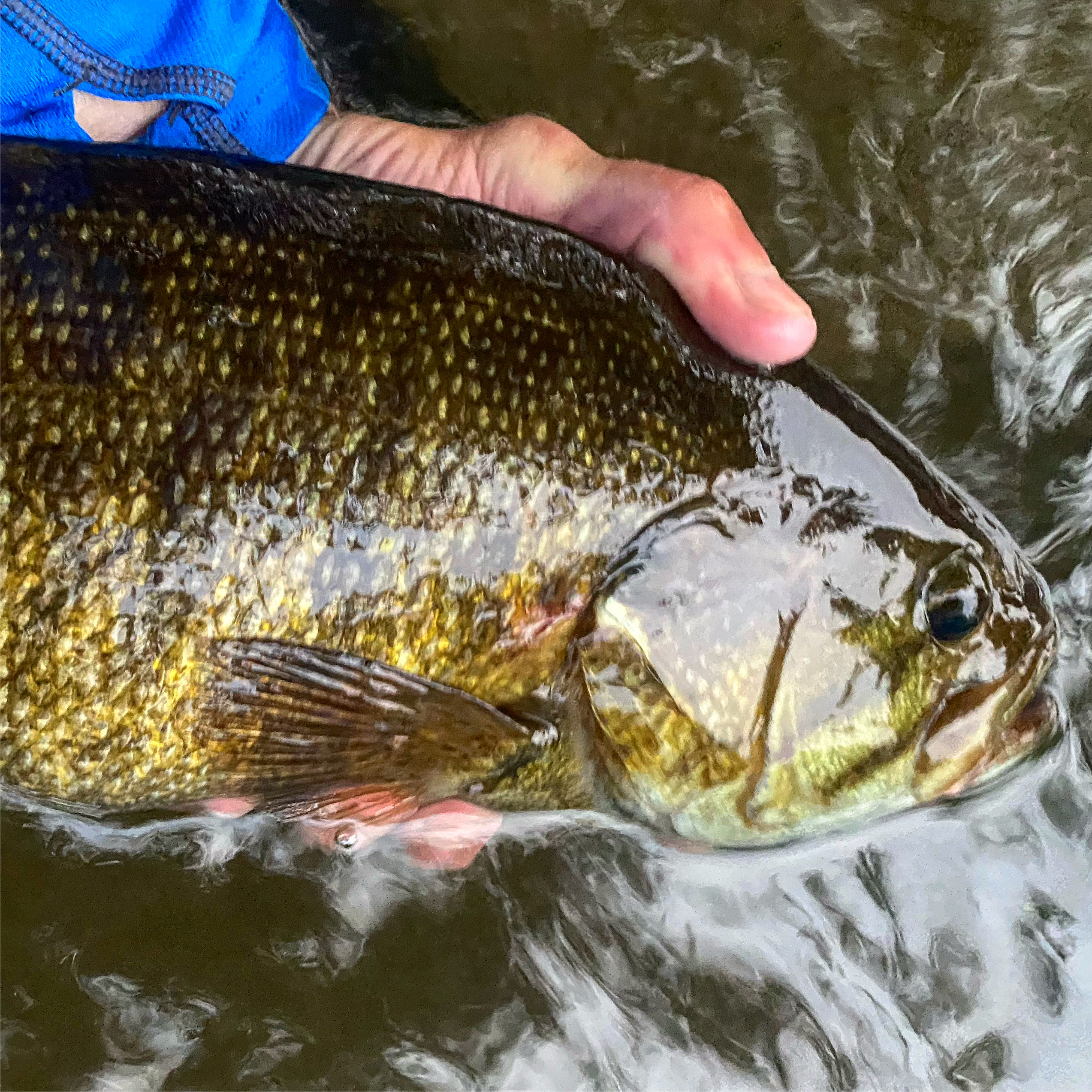 In The Flow Fly Fishing Guide Service photo 4