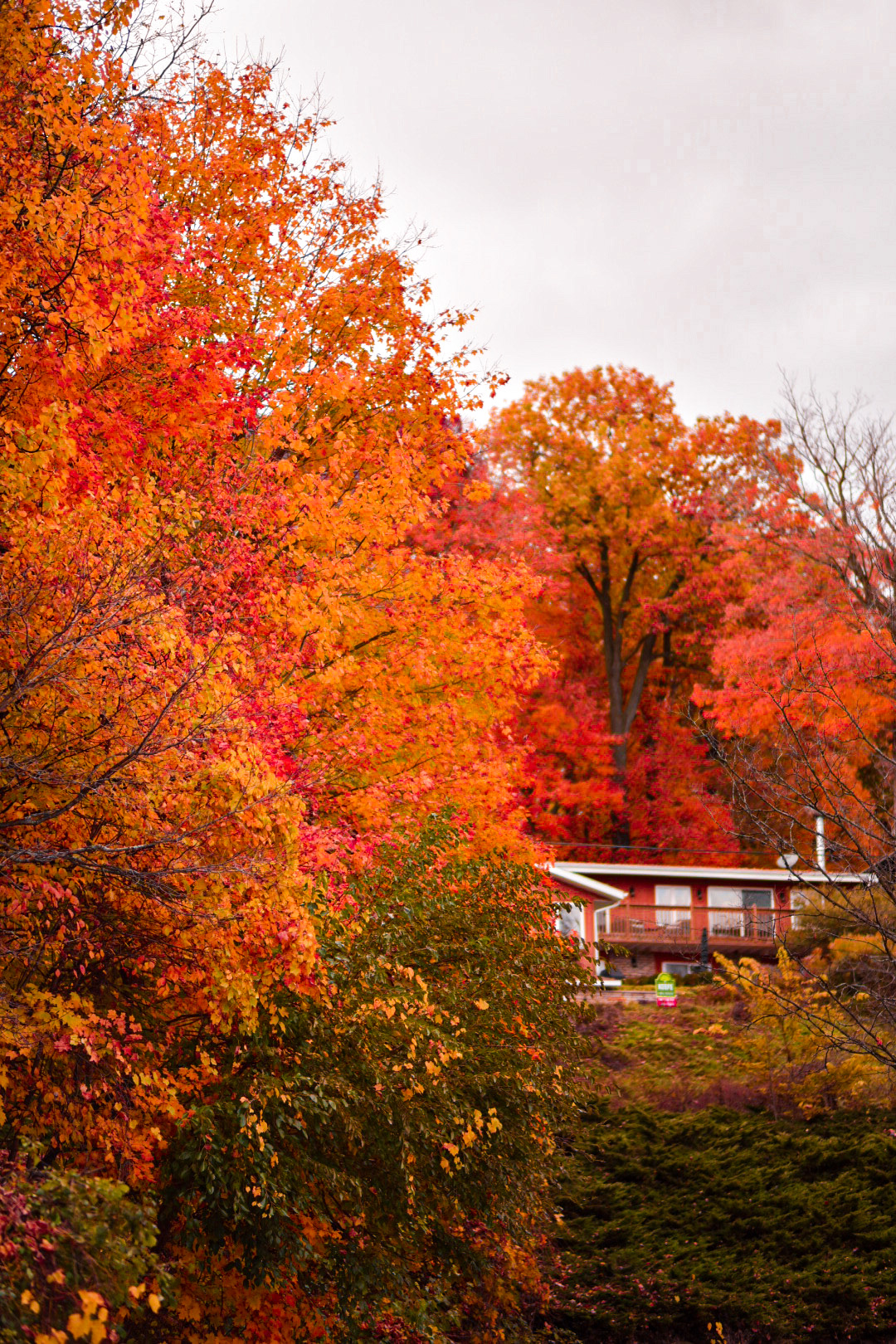 Rustic Road 29 photo 5