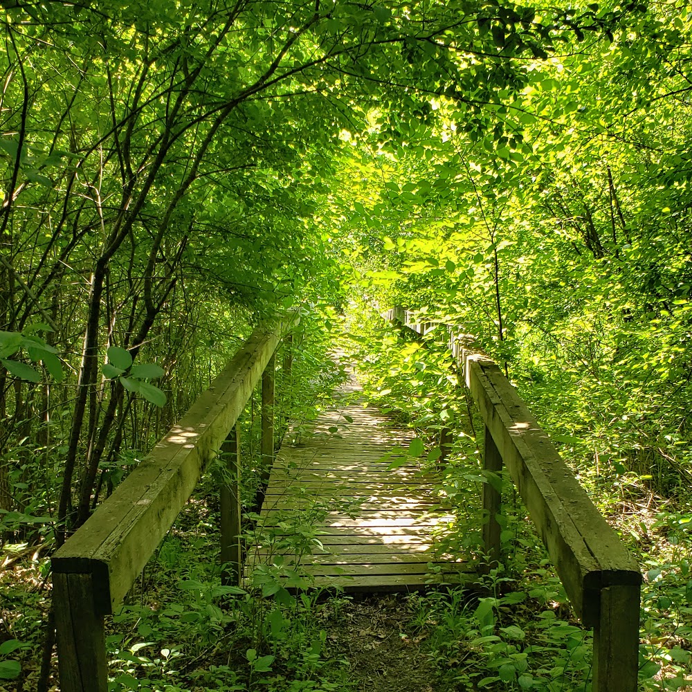 Burlington School Forest