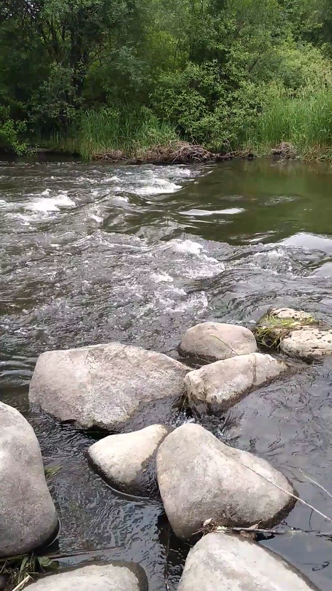 White River County Park photo 2