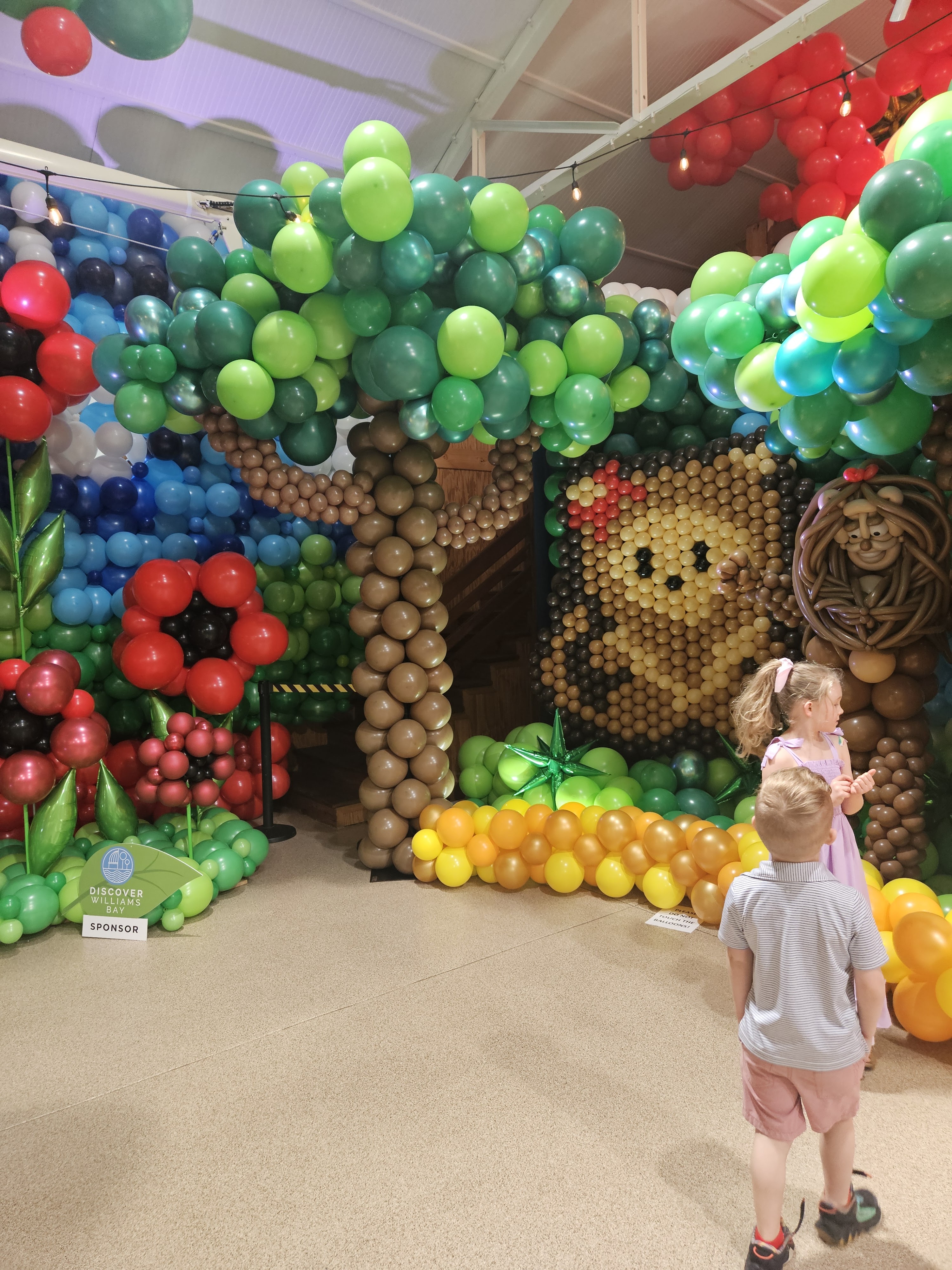 The Balloon Adventure photo 3