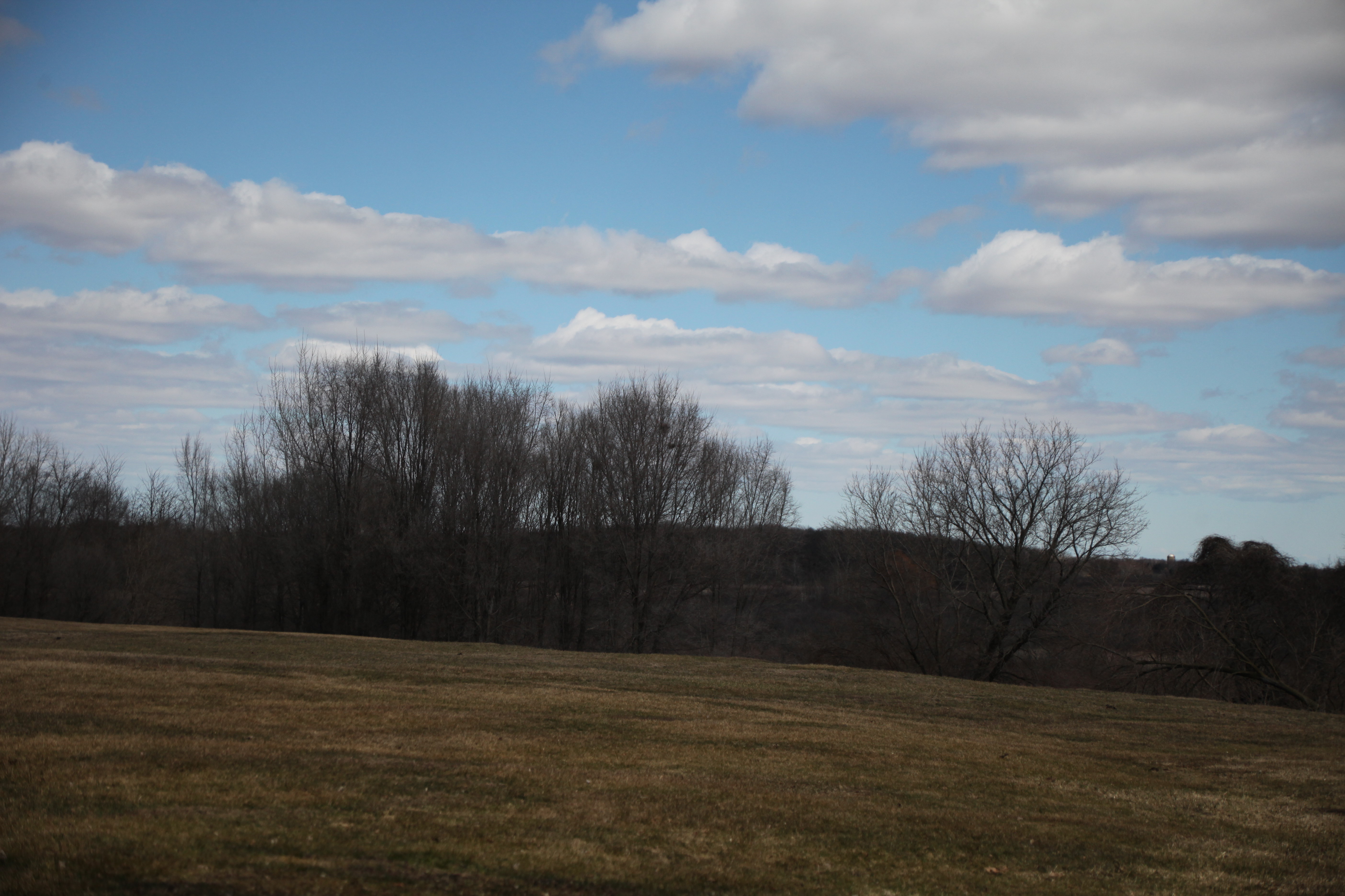 Rushwood Park photo 5