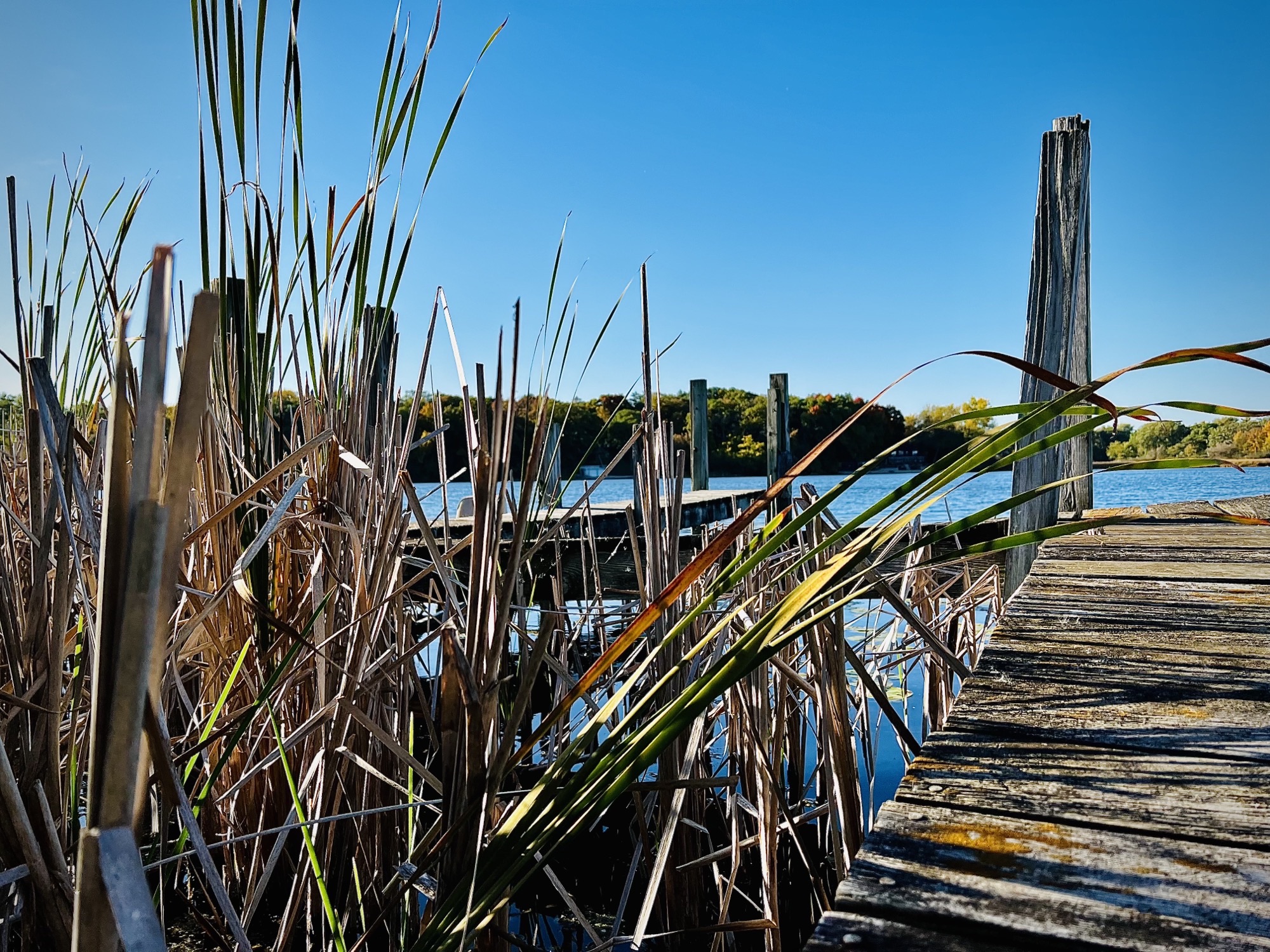 Nippersink on the Lake photo 6
