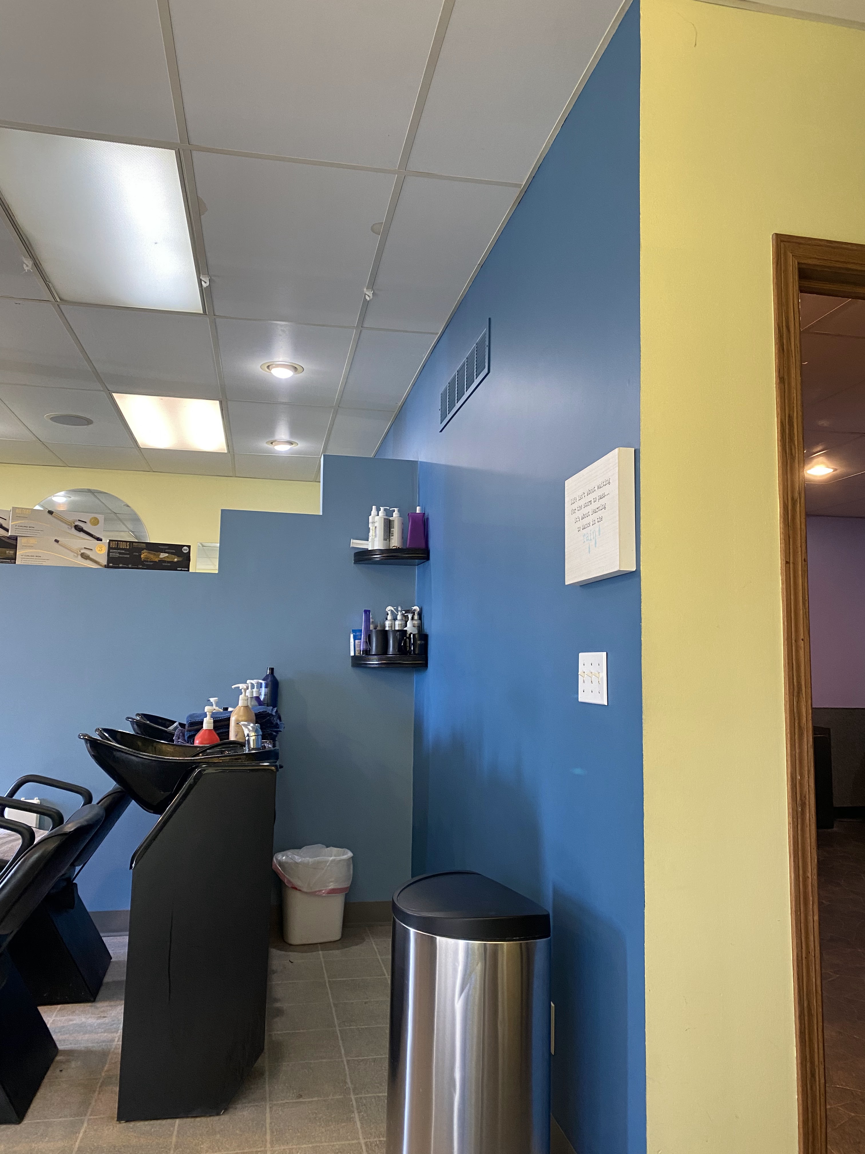 The Hair Company