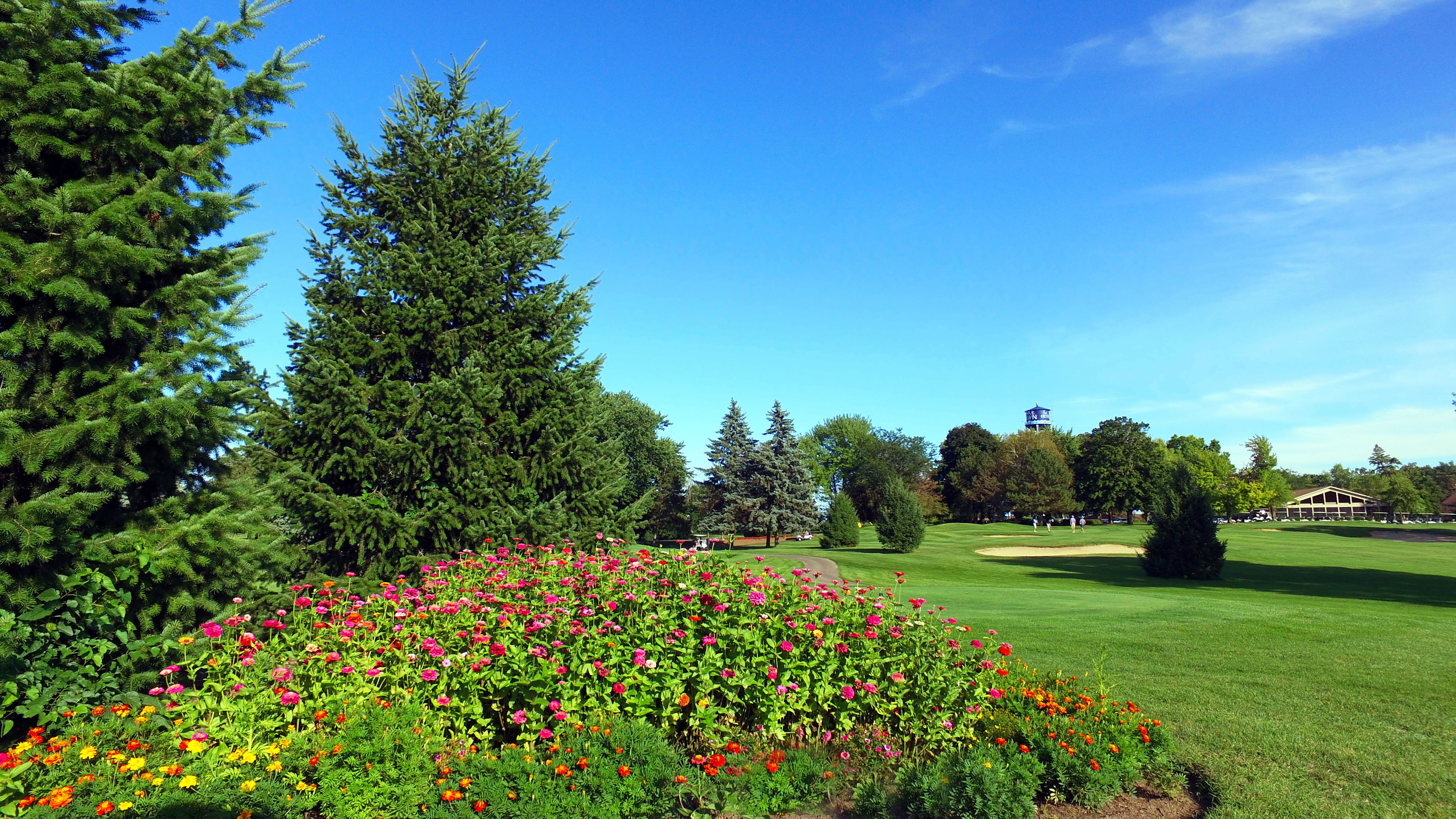 Majestic Oaks Golf Course at Lake Lawn Resort photo 6