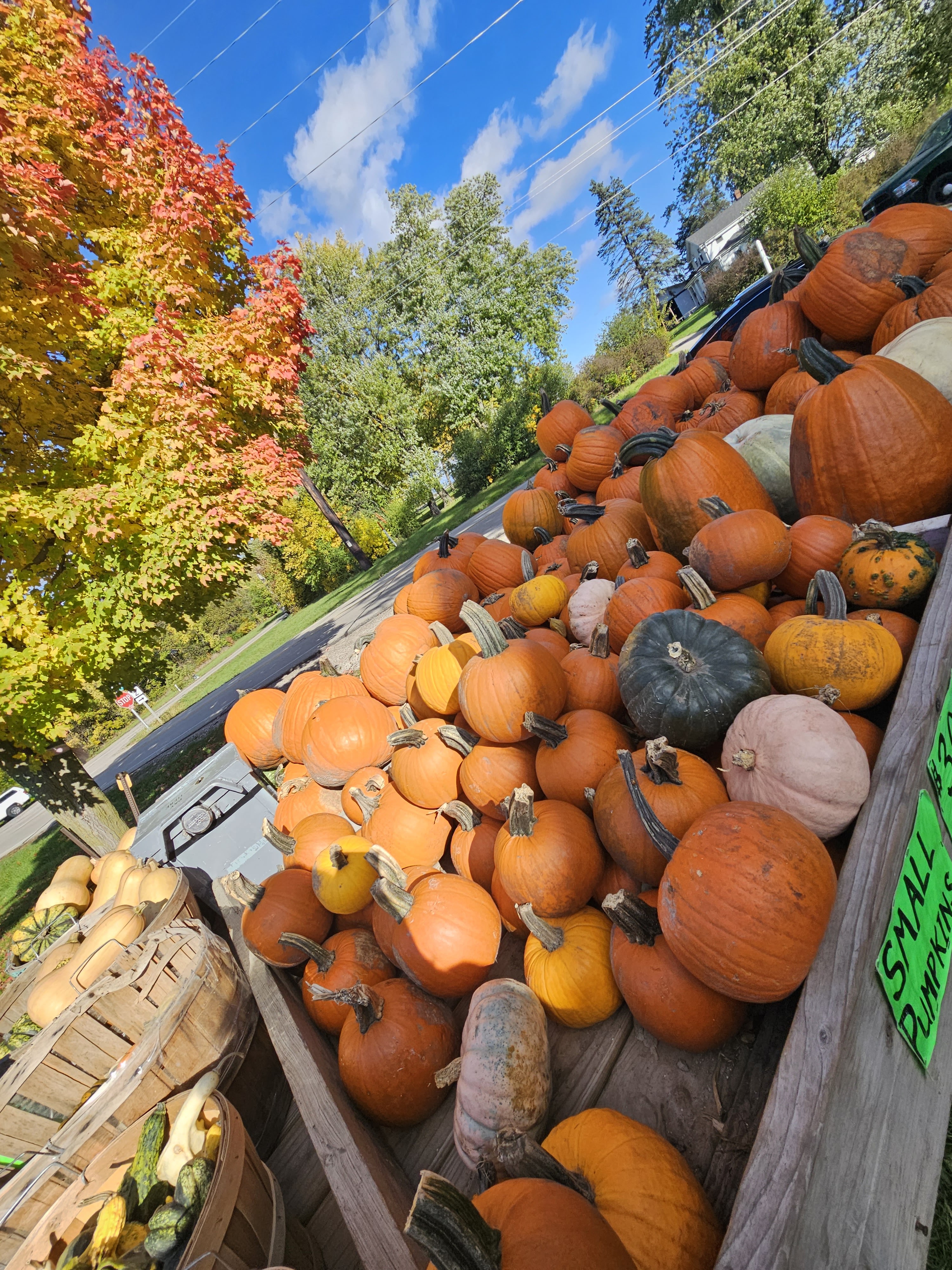 Reynolds Farm Stand