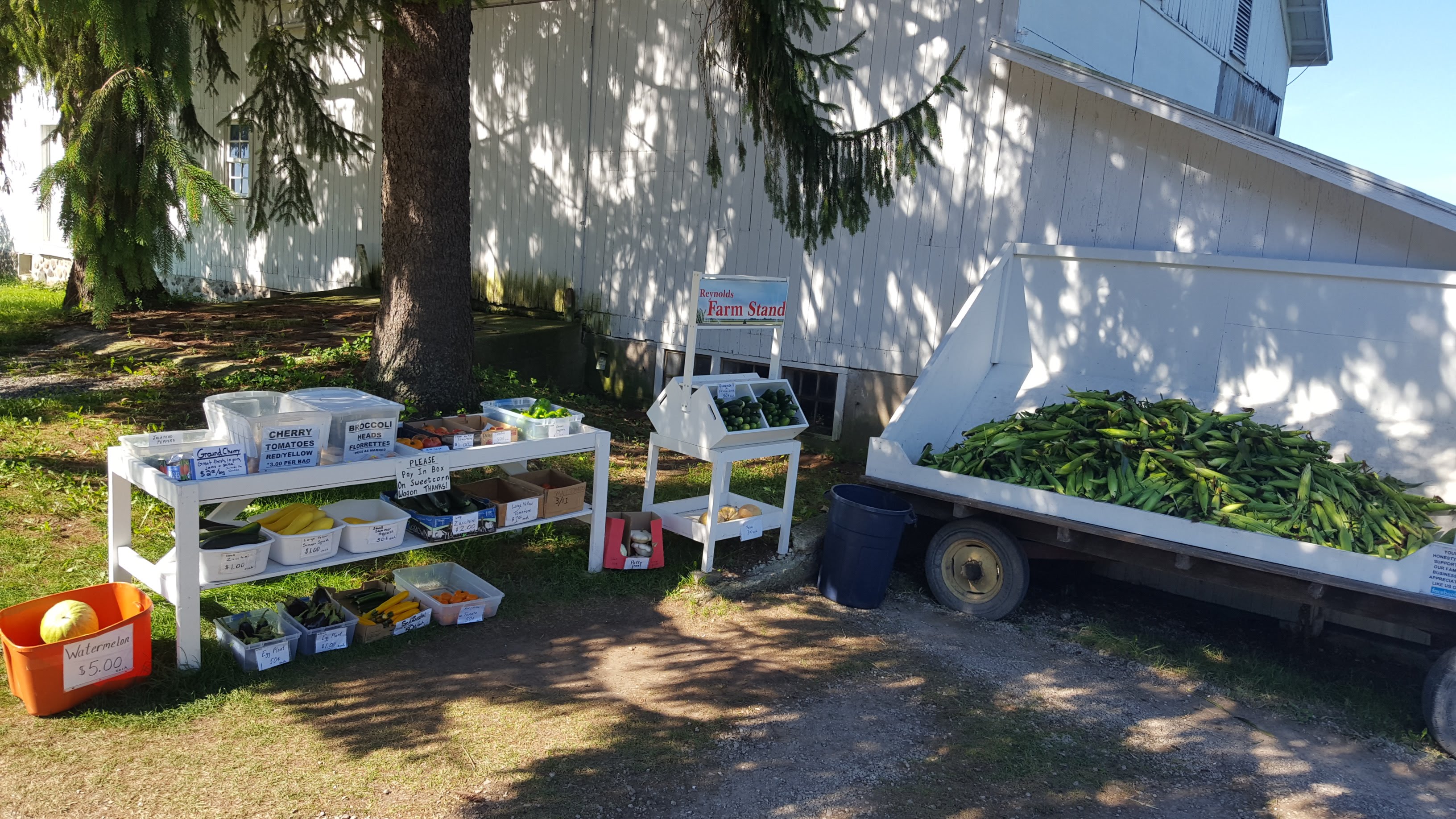 Reynolds Farm Stand photo 4