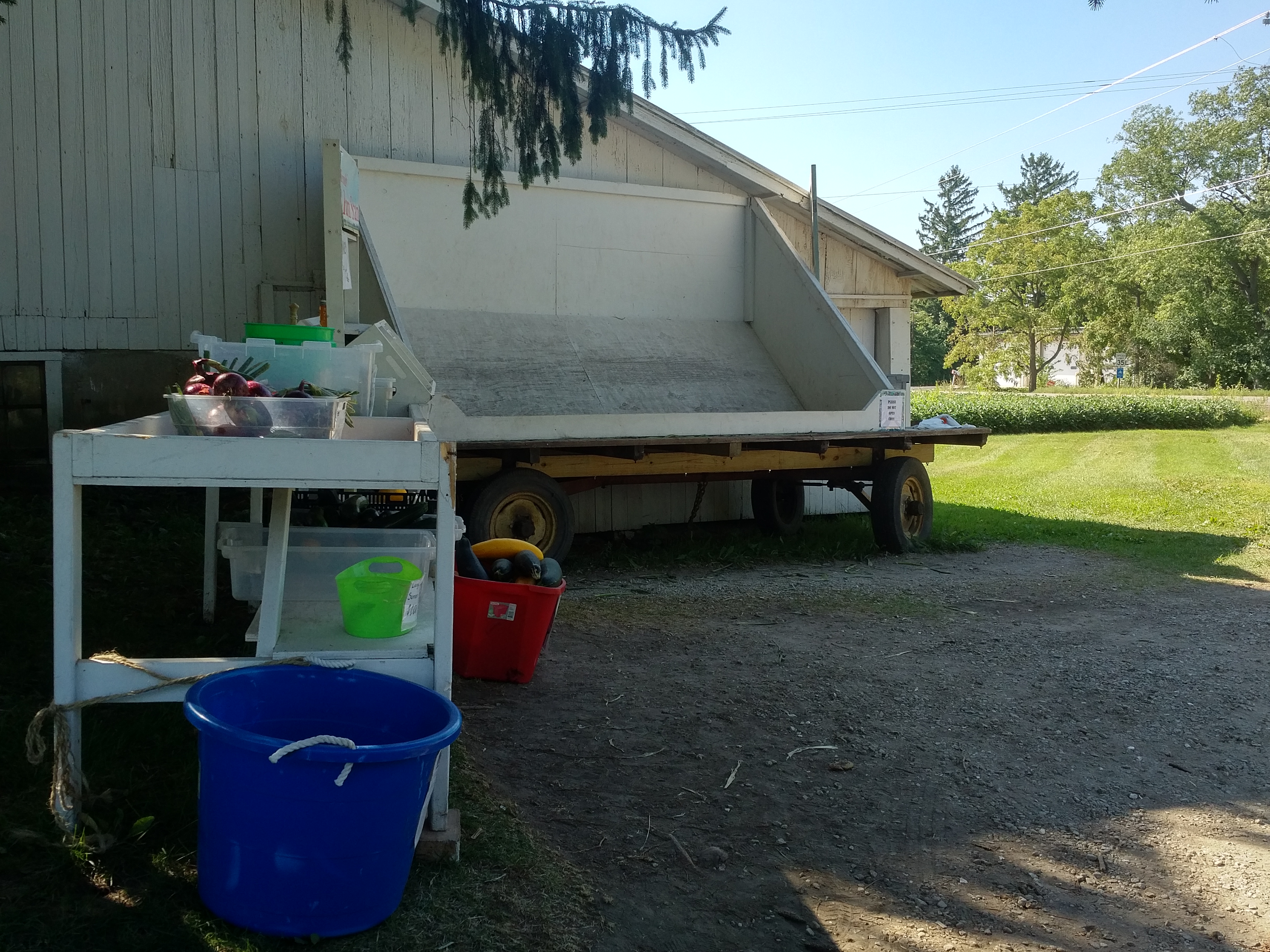 Reynolds Farm Stand photo 5