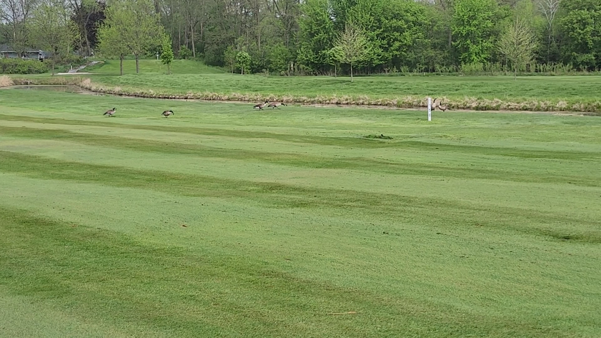 Twin Lakes Country Club photo 3