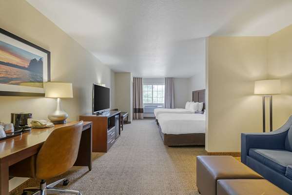 Comfort Suites Lake Geneva East photo 5