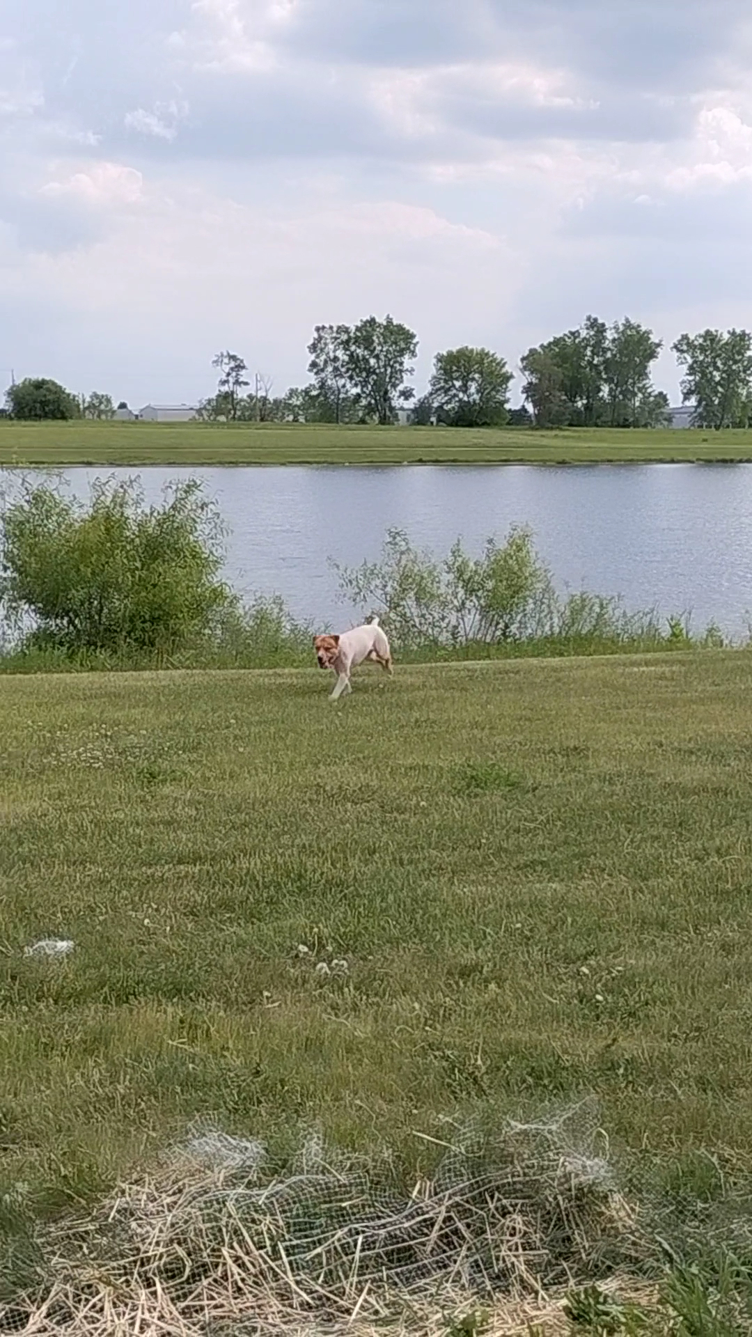 Babe Mann Park photo 2