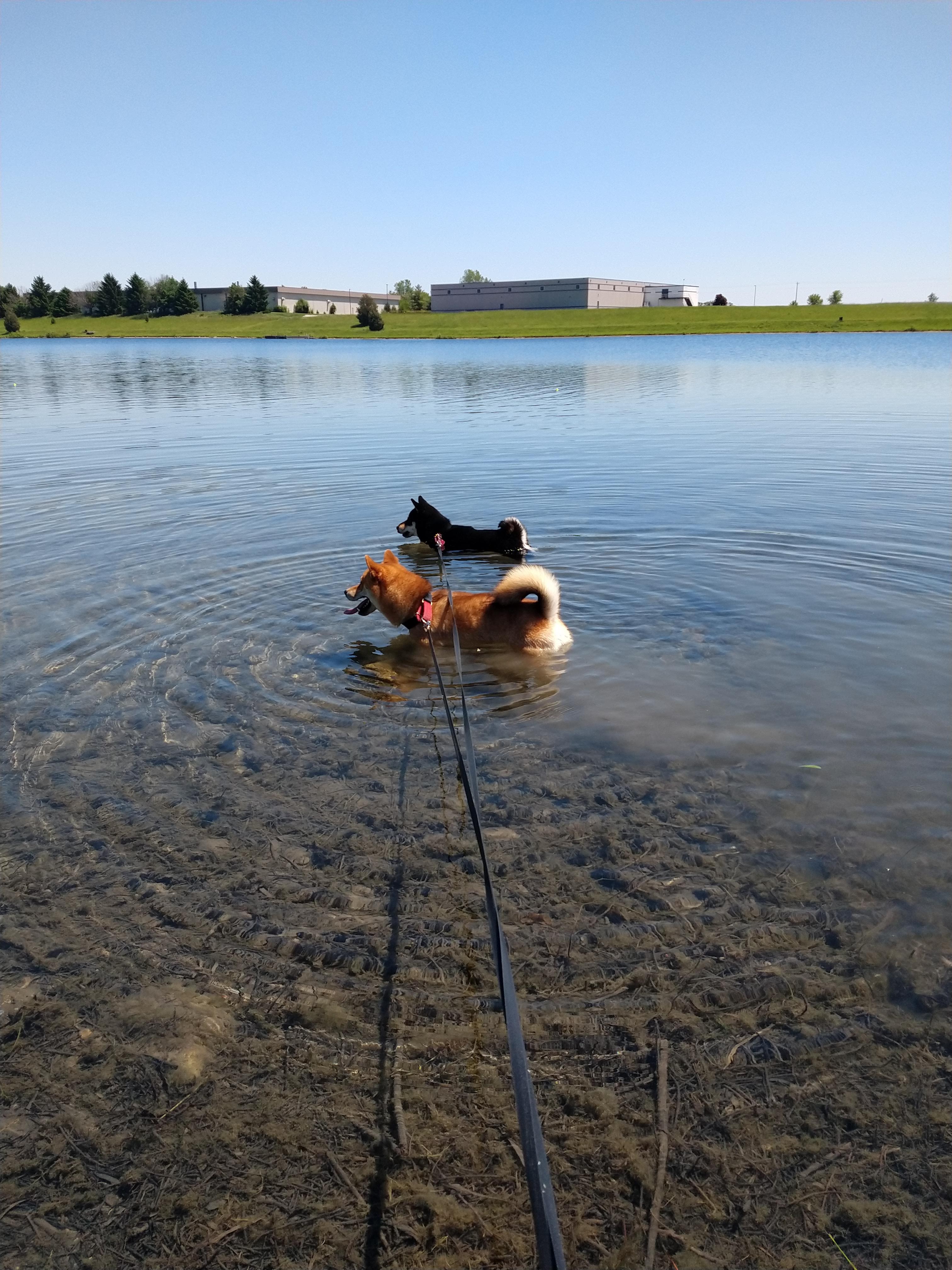 Babe Mann Park photo 5
