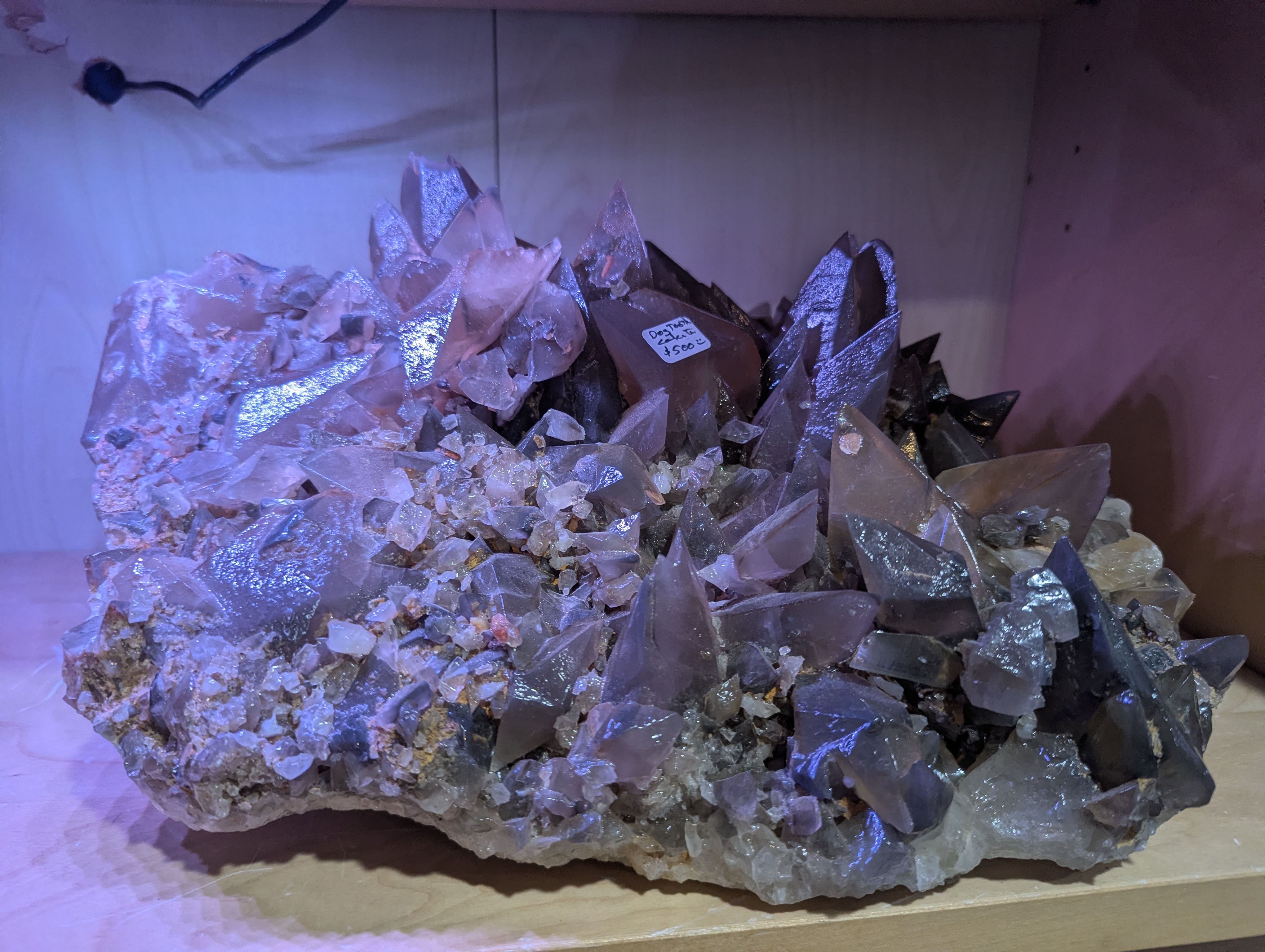 Crystal Garden Rock Shop photo 2