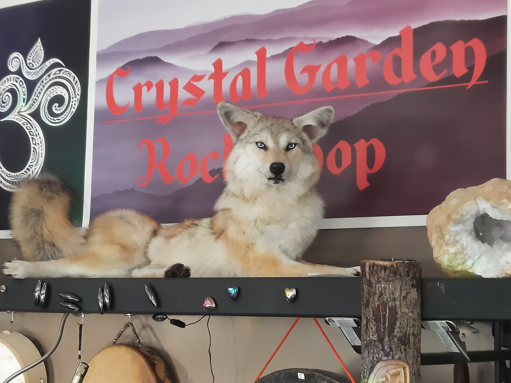 Crystal Garden Rock Shop photo 6