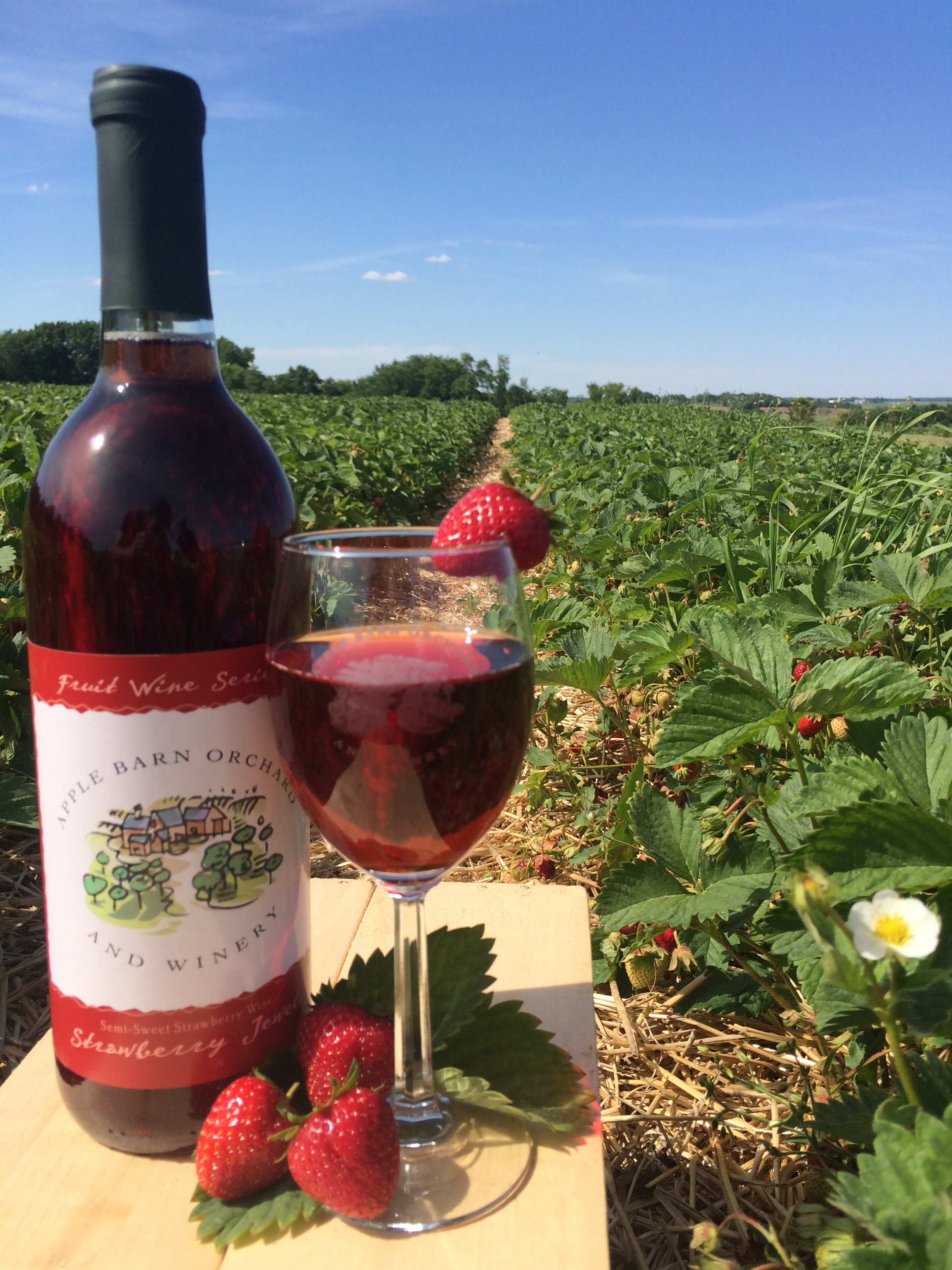 Apple Barn Orchard & Winery photo 4