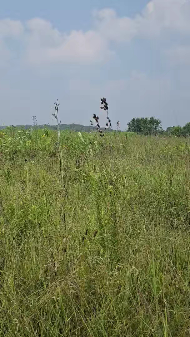 White River County Park photo 2