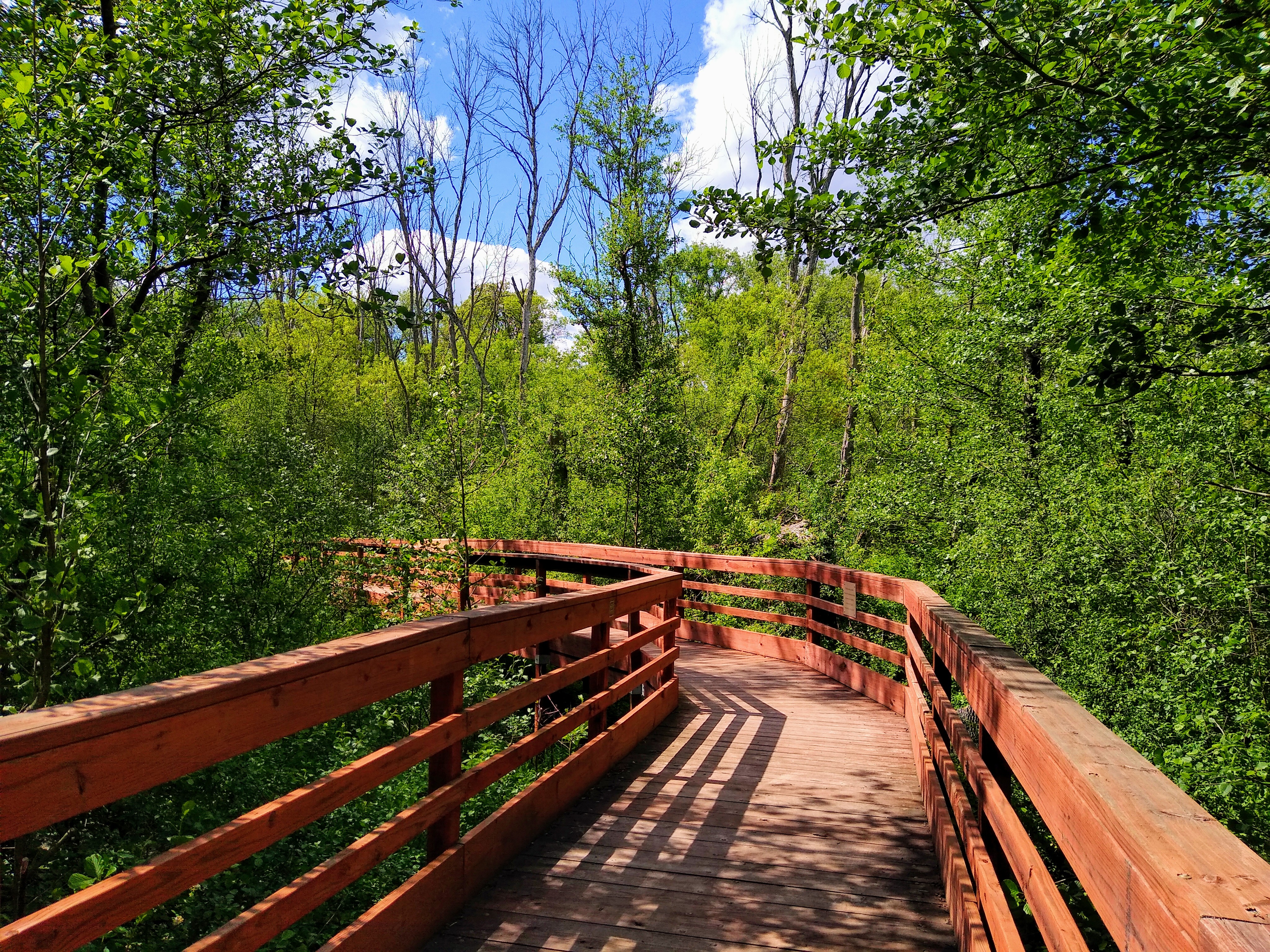 White River County Park photo 4