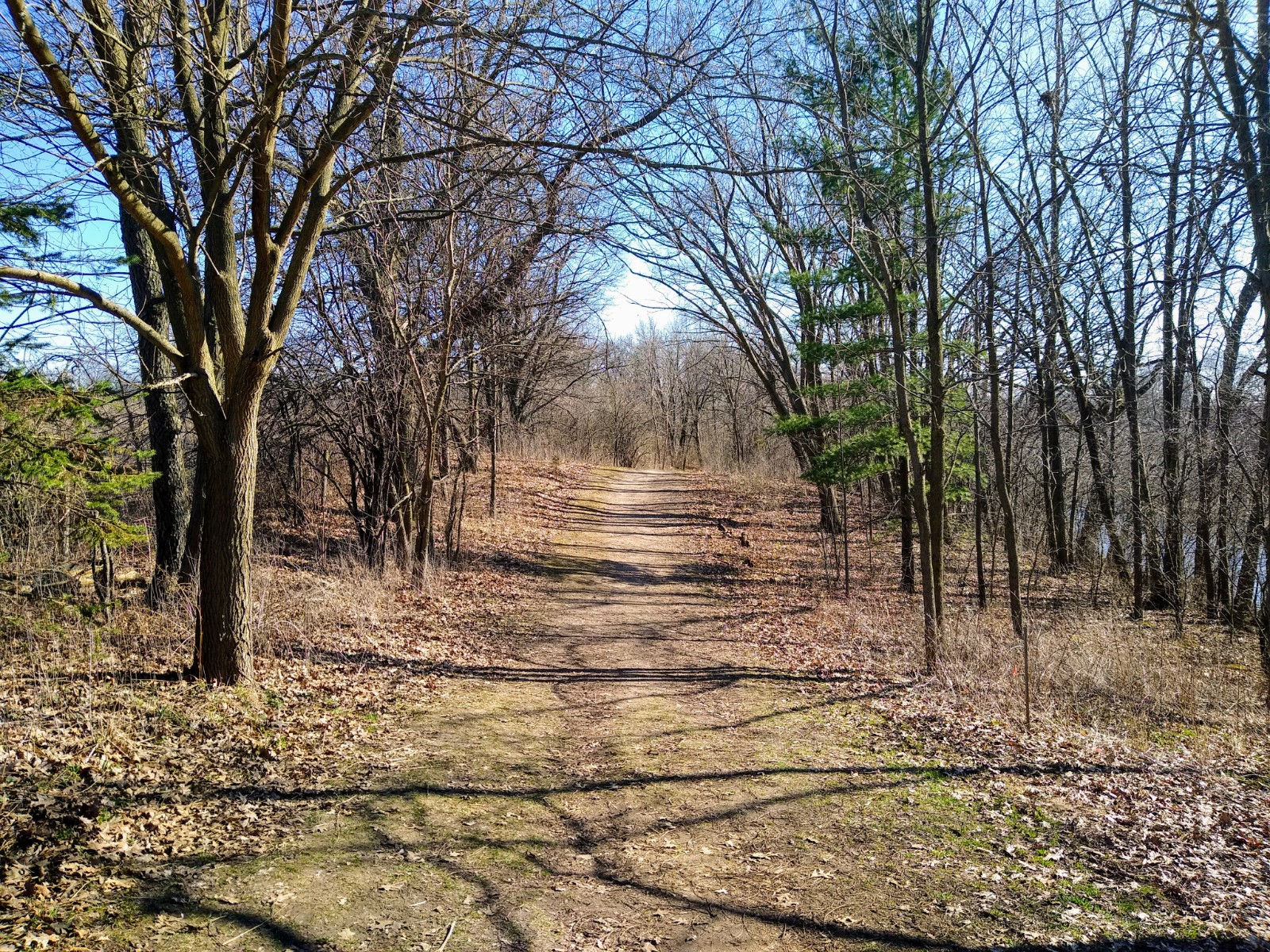 White River County Park photo 5