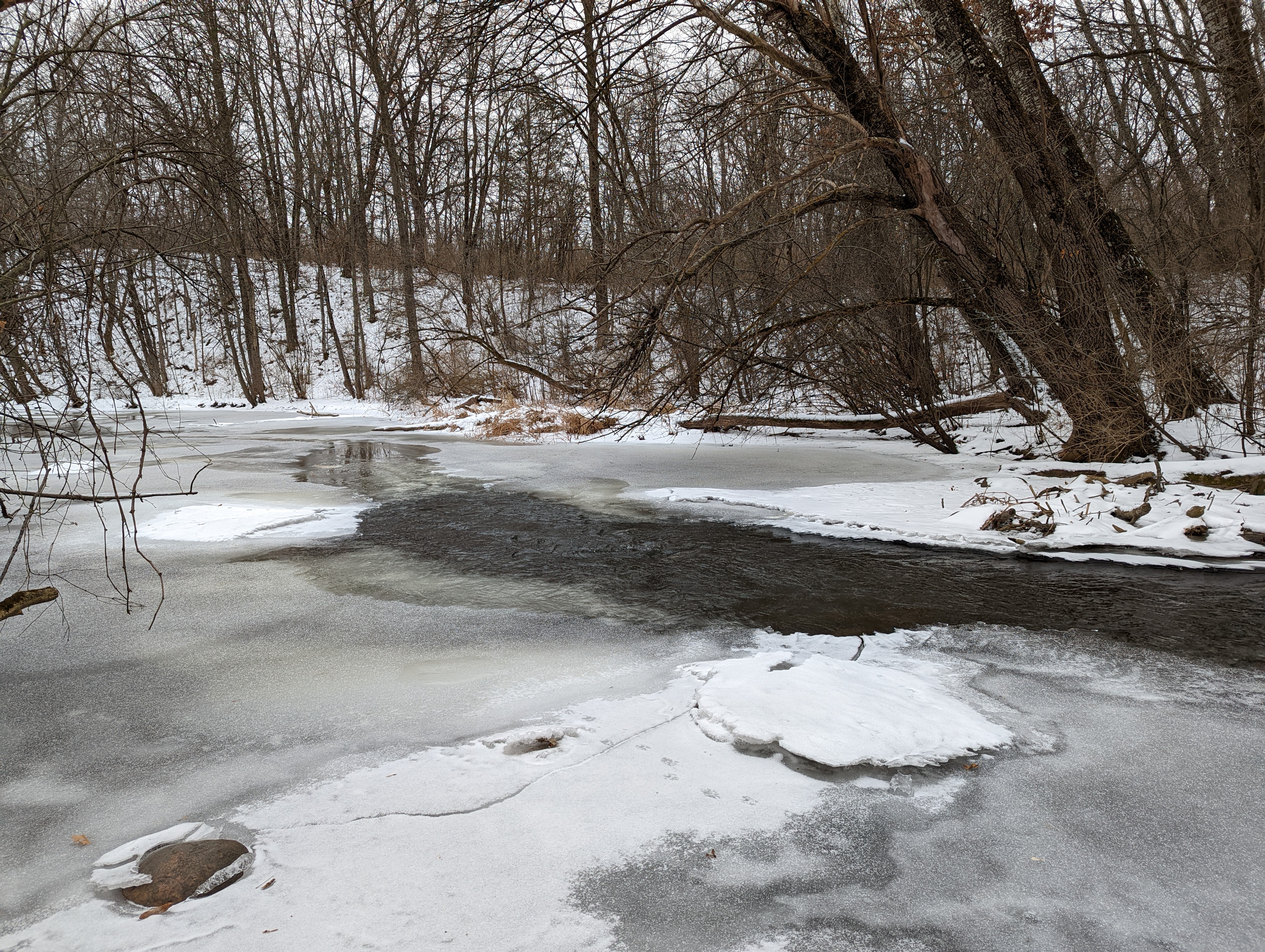 White River County Park photo 6