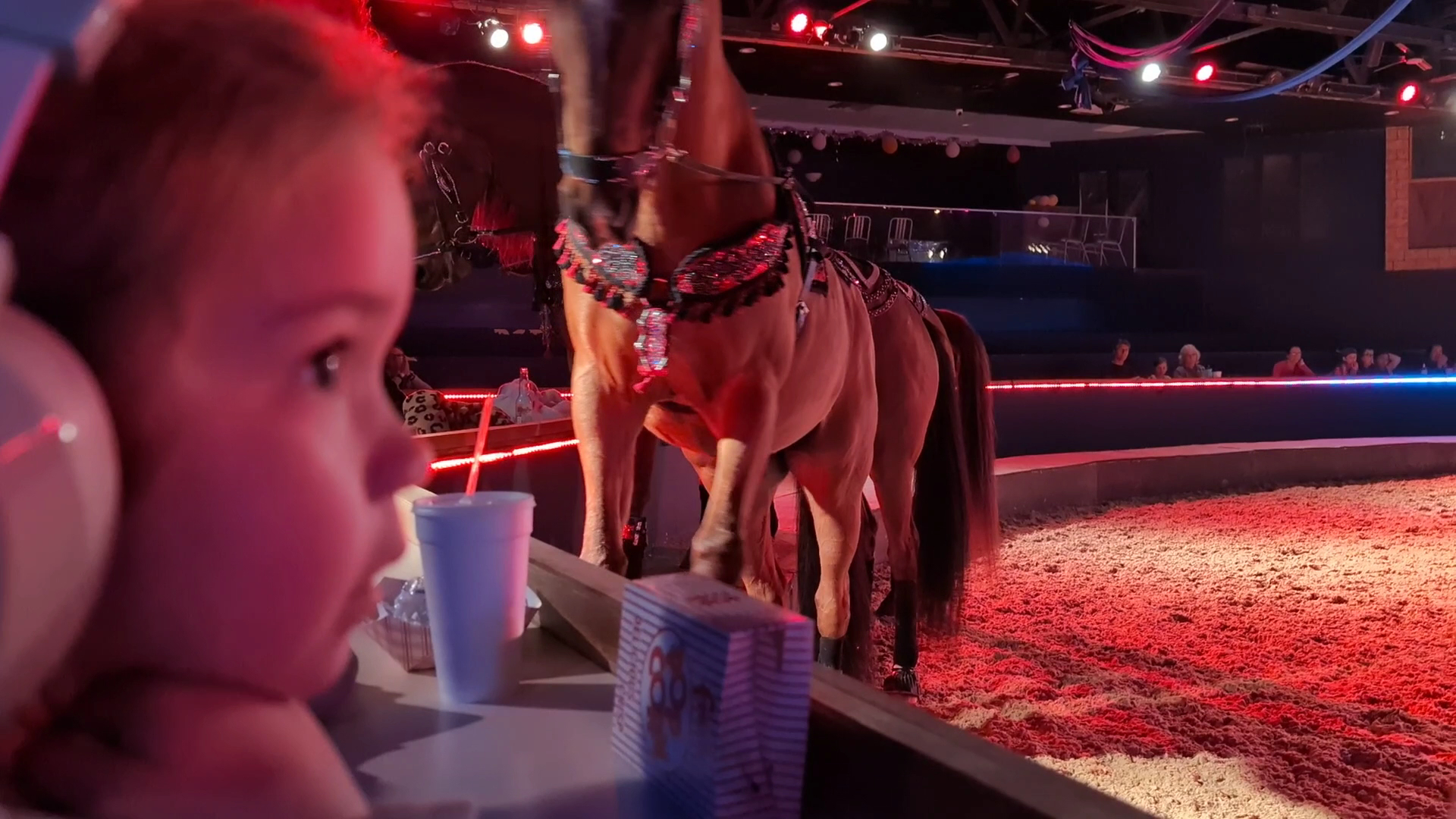 The Dancing Horses Theatre photo 3