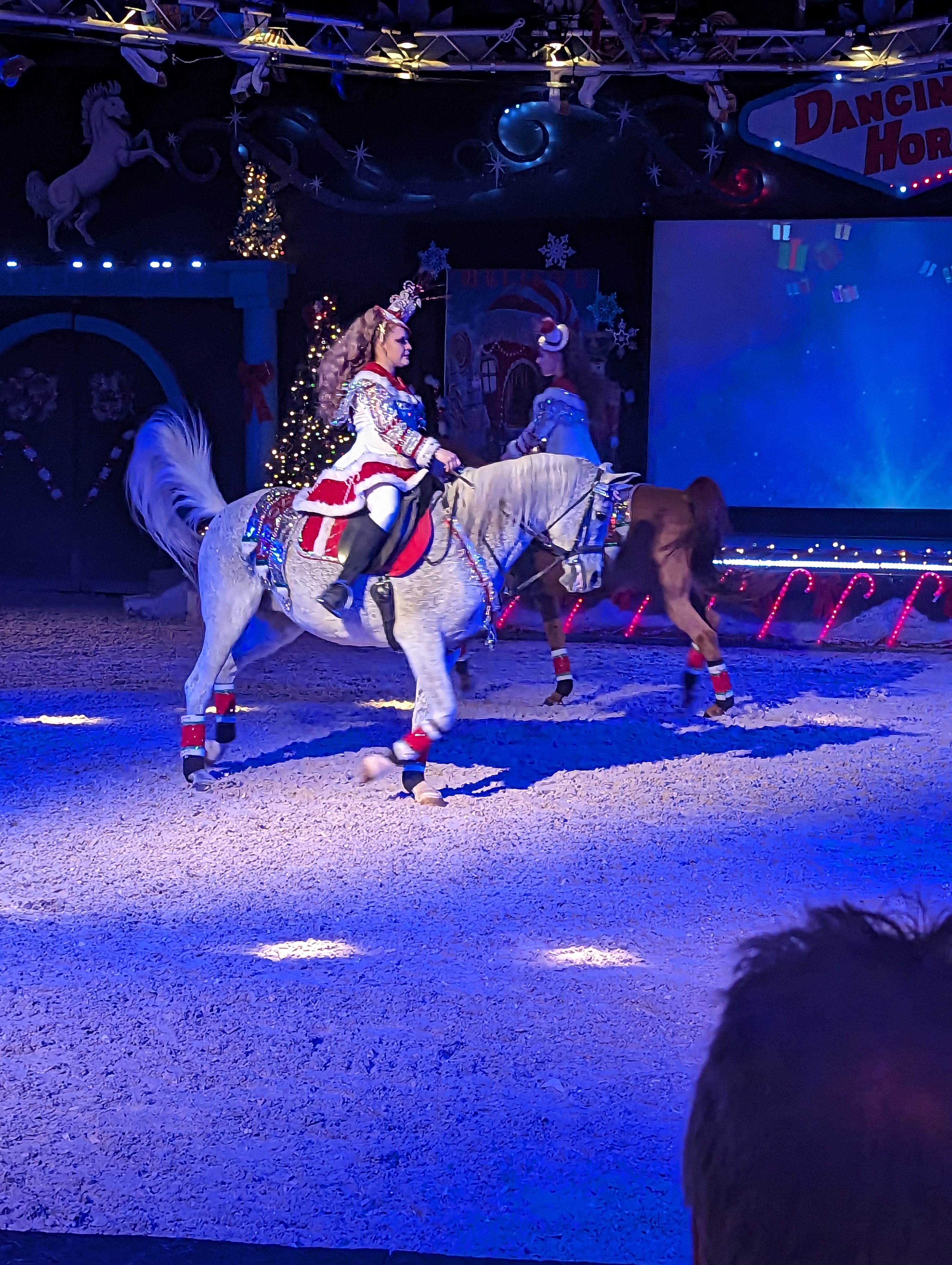 The Dancing Horses Theatre photo 4