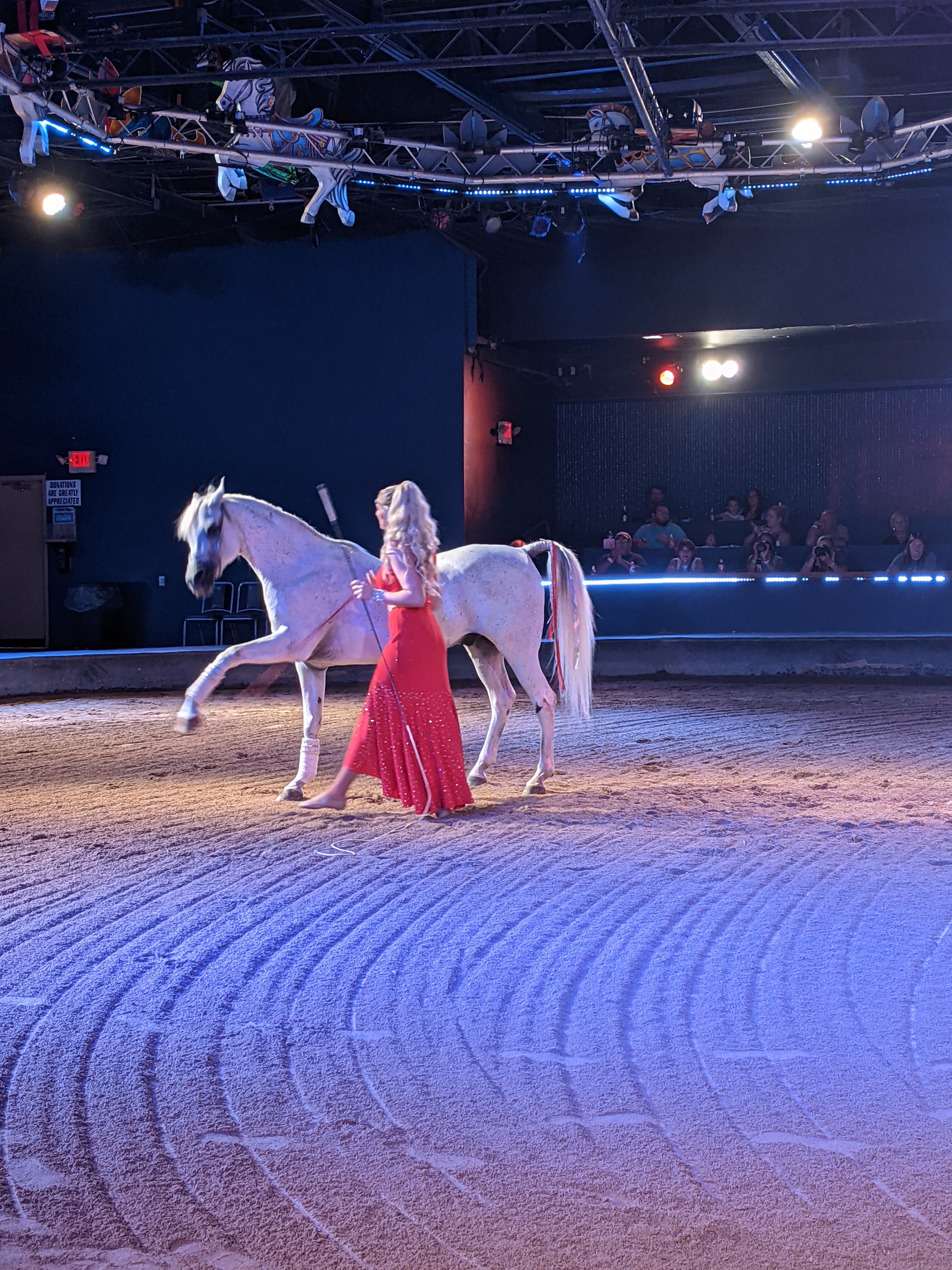 The Dancing Horses Theatre photo 5