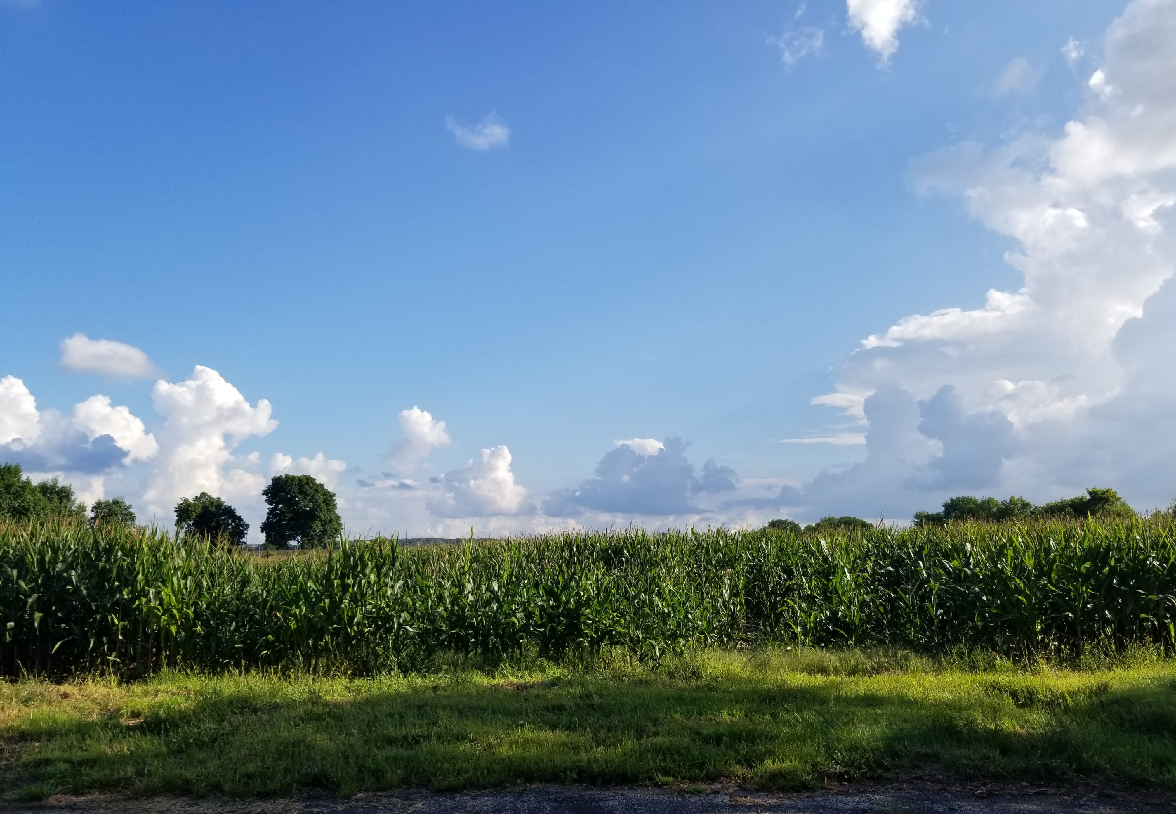 Wilma H. Lauterbach Park photo 5