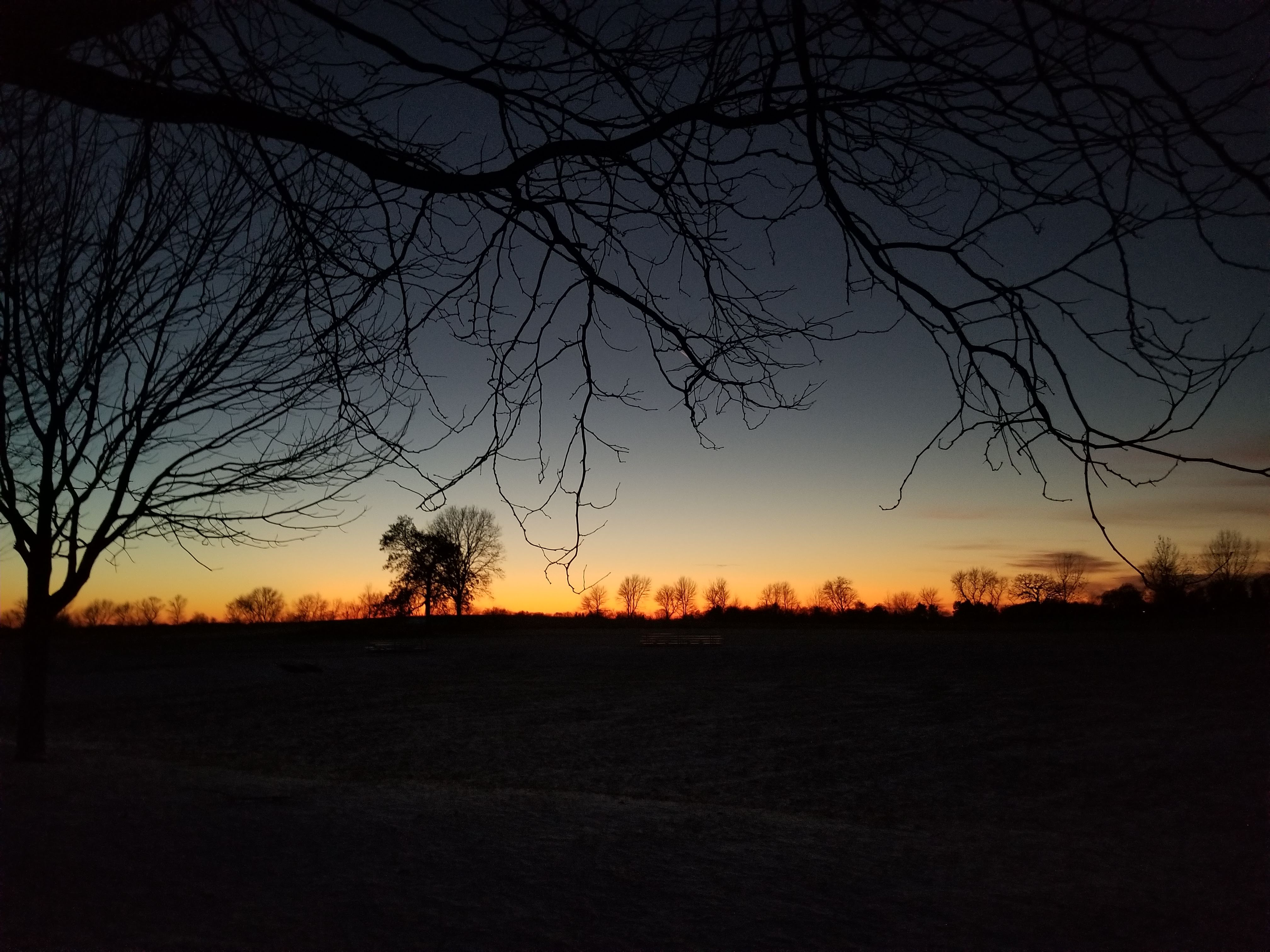 Wilma H. Lauterbach Park photo 6