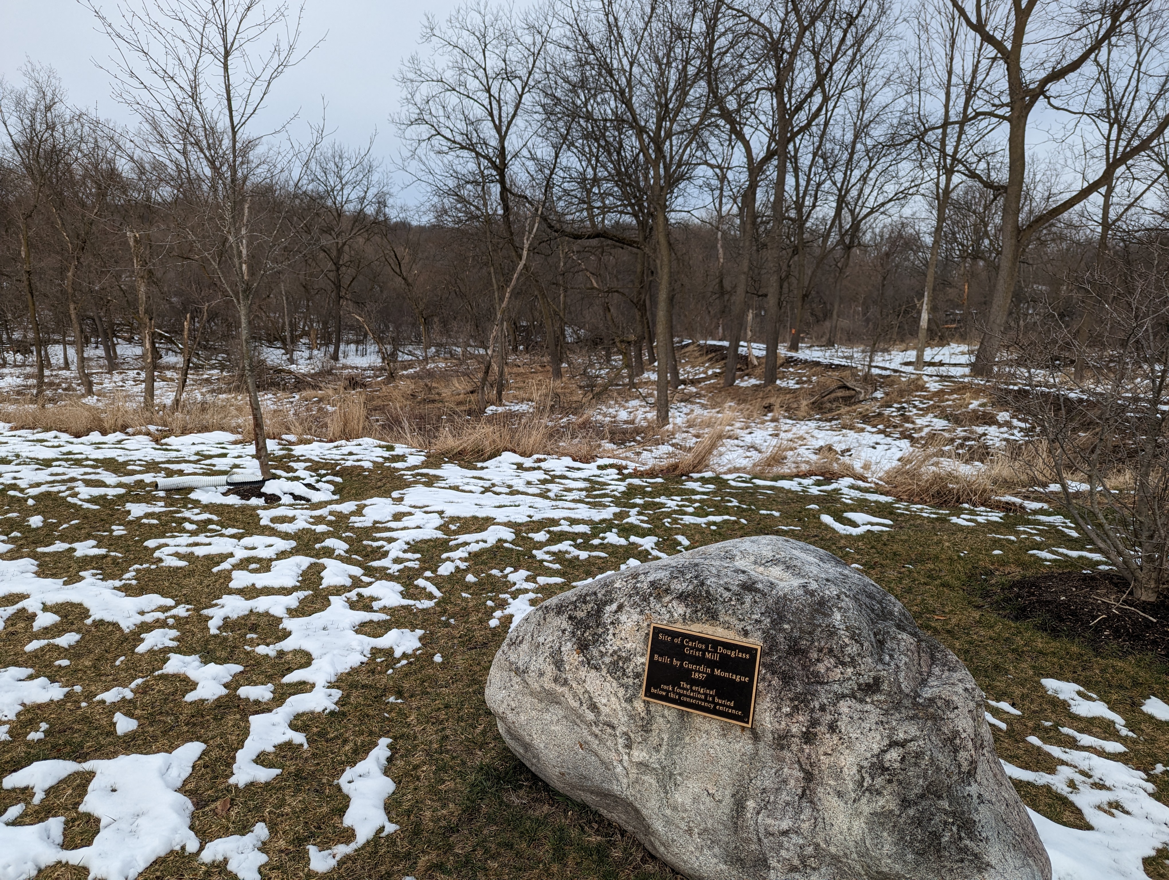 Hildebrand Nature Conservancy