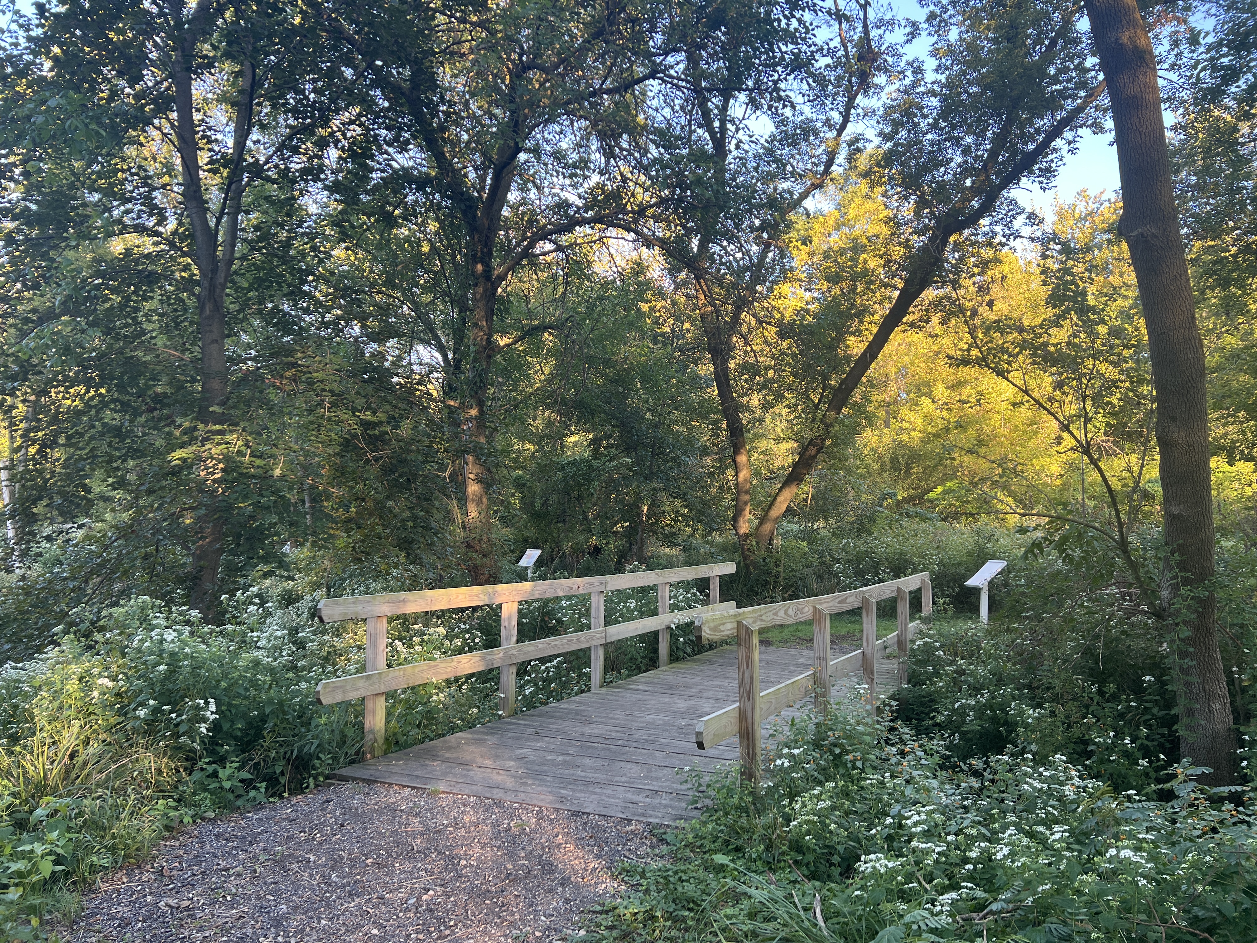Hildebrand Nature Conservancy photo 5