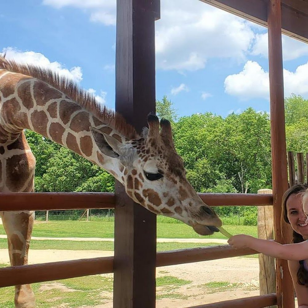 Safari Lake Geneva | Online Reservations Required