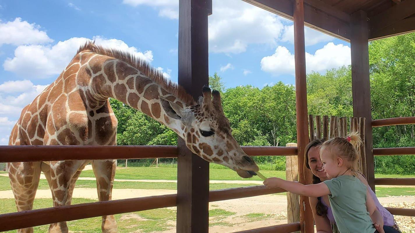 Safari Lake Geneva | Online Reservations Required photo 2