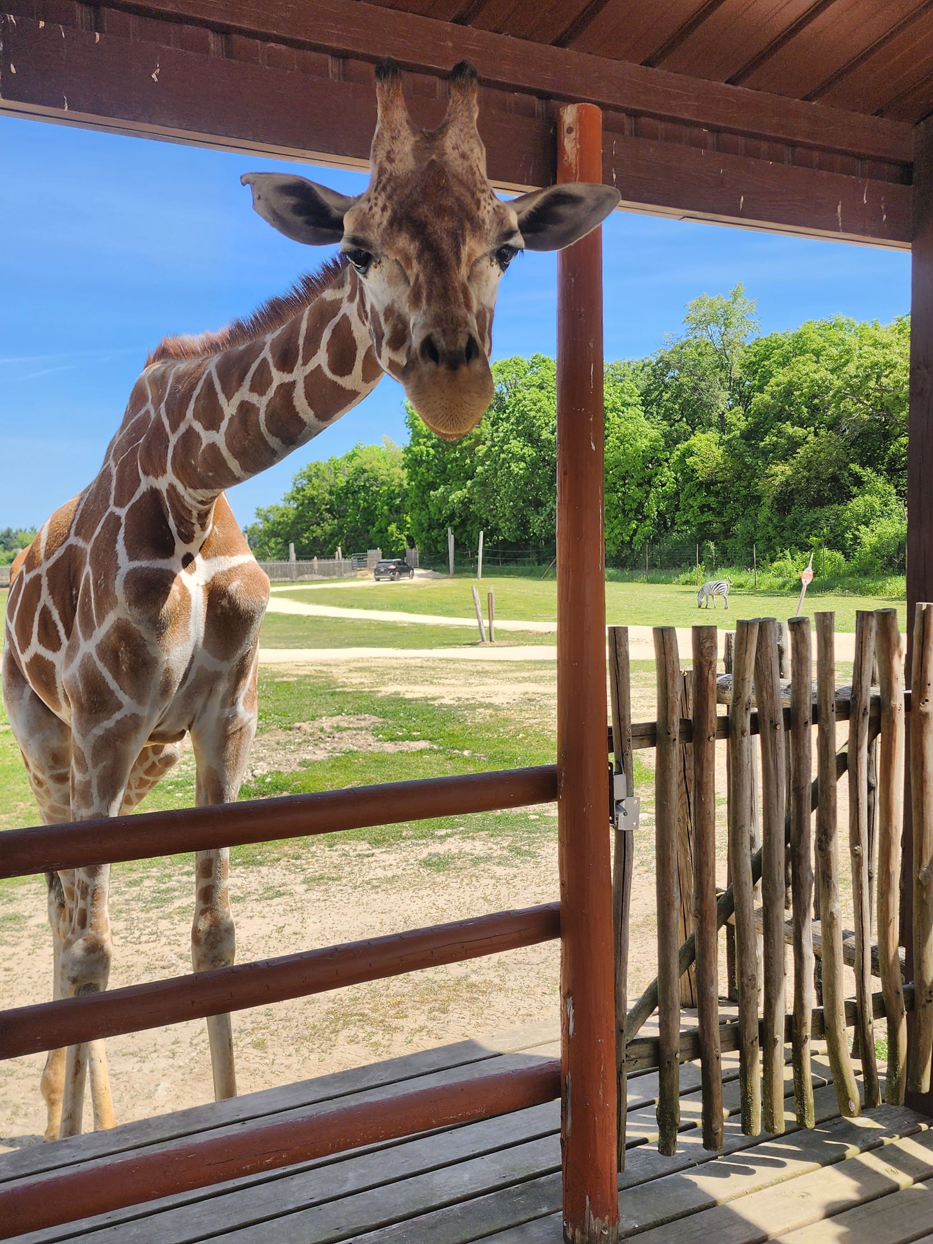 Safari Lake Geneva | Online Reservations Required photo 4