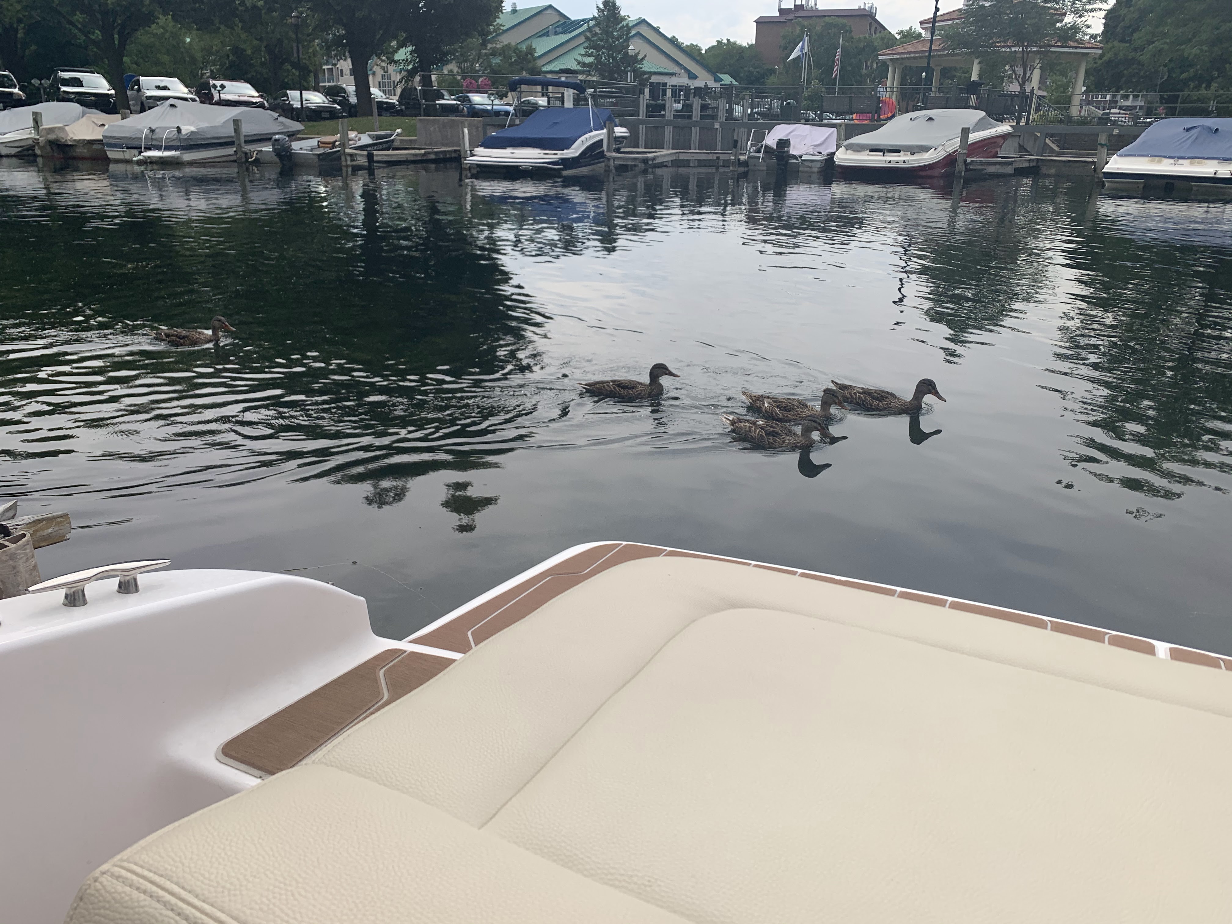 Leatherlips Watersports Jet
