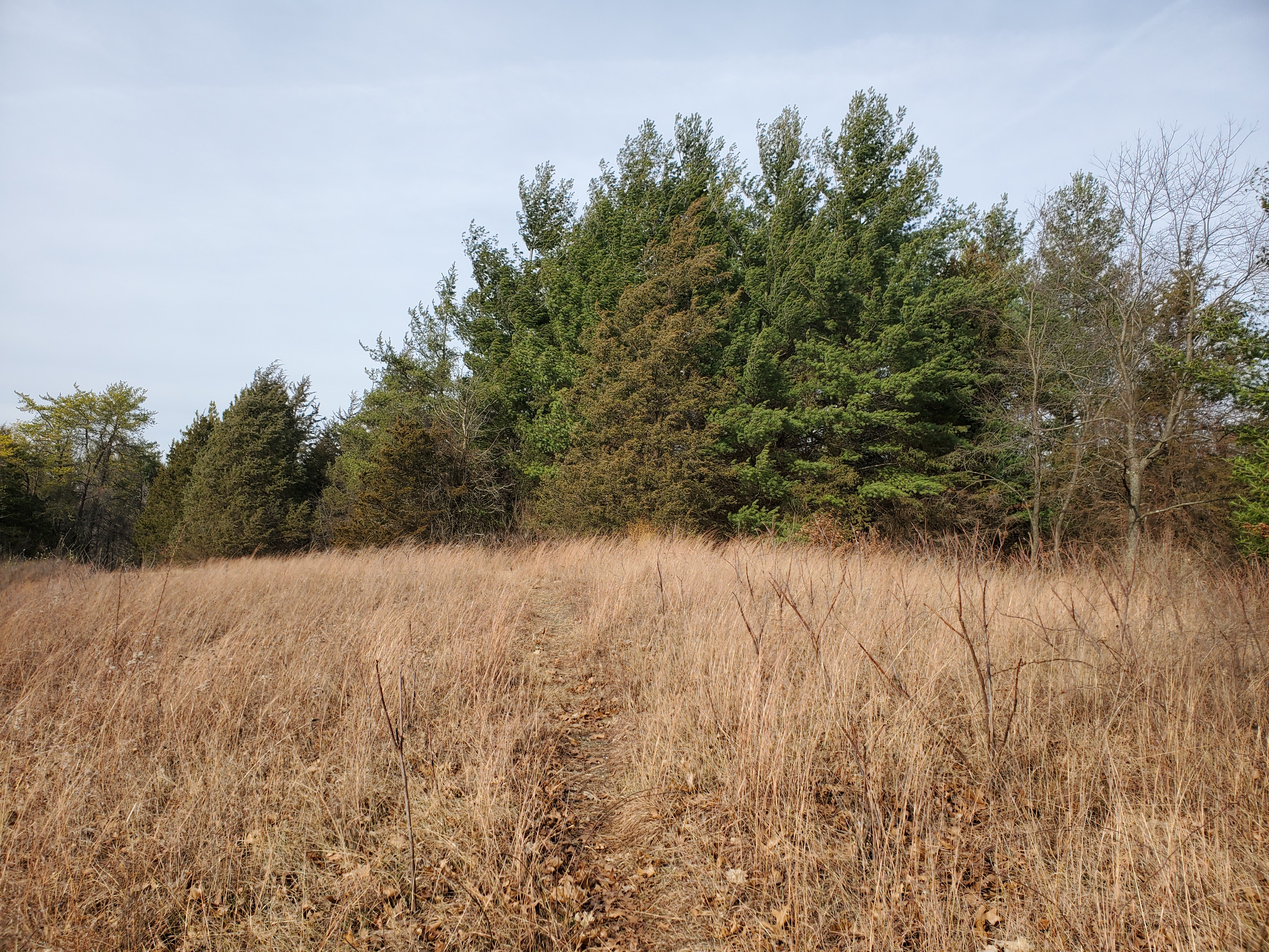 New Munster Wildlife Area