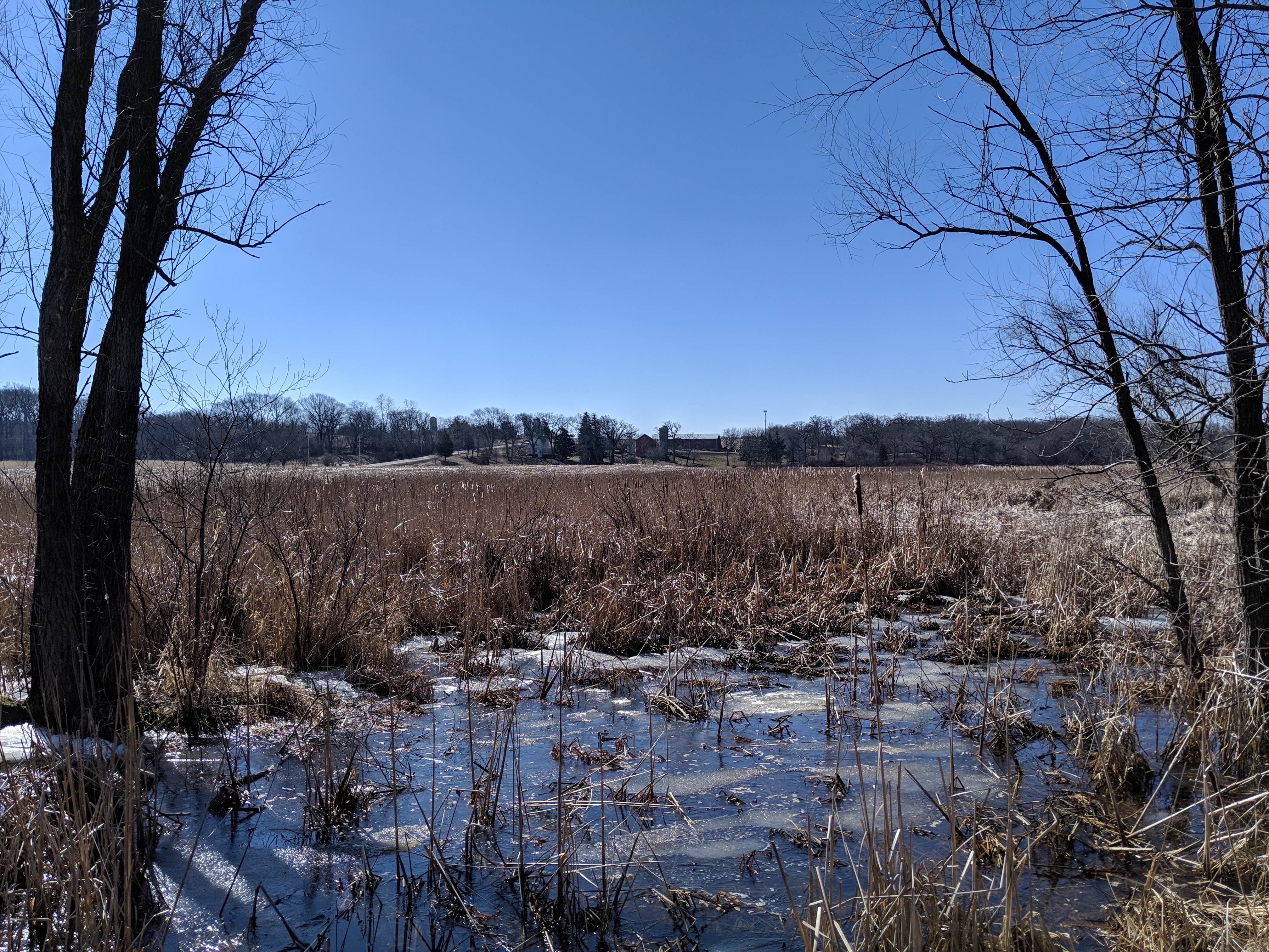 New Munster Wildlife Area photo 2