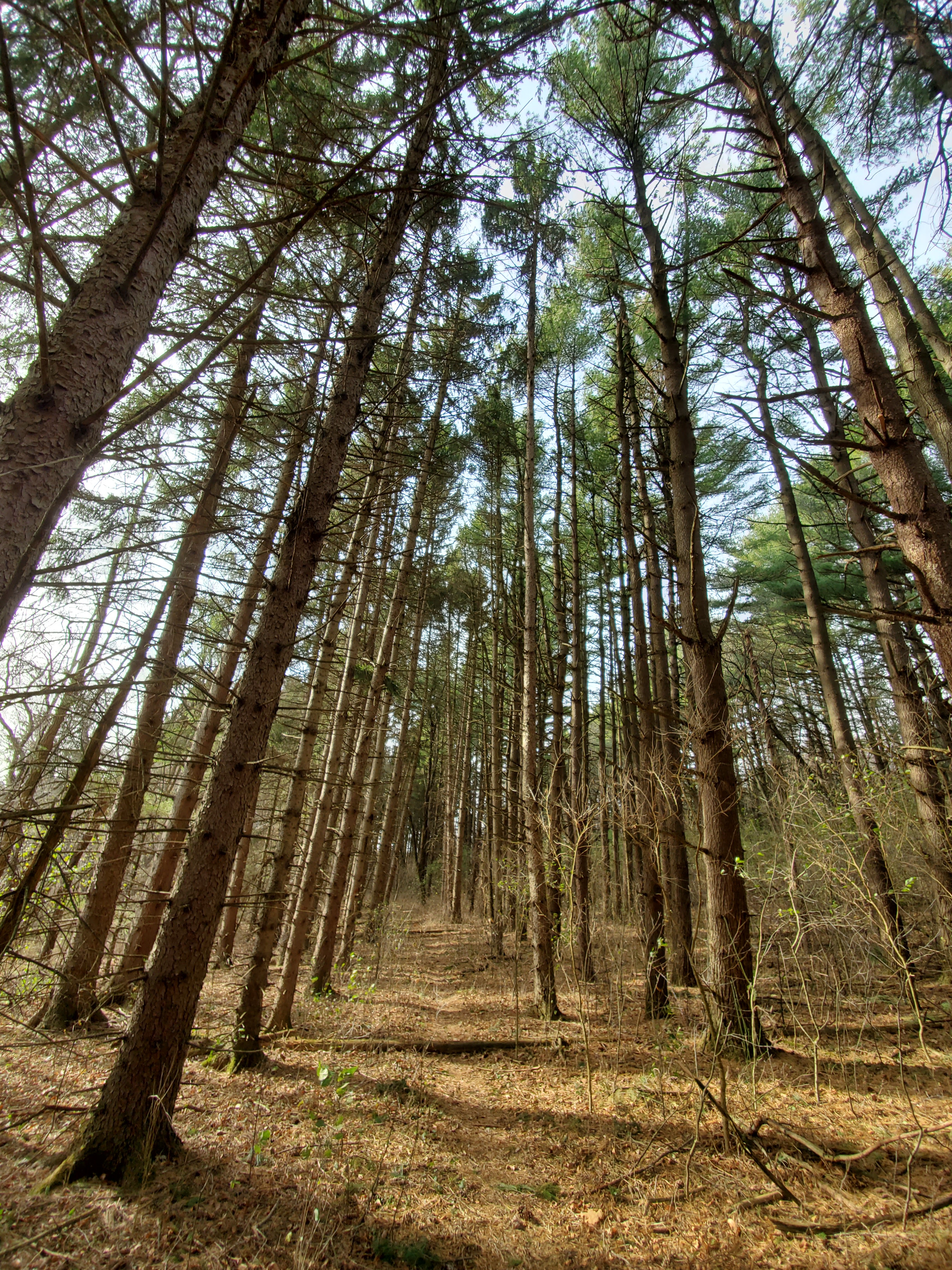 New Munster Wildlife Area photo 3