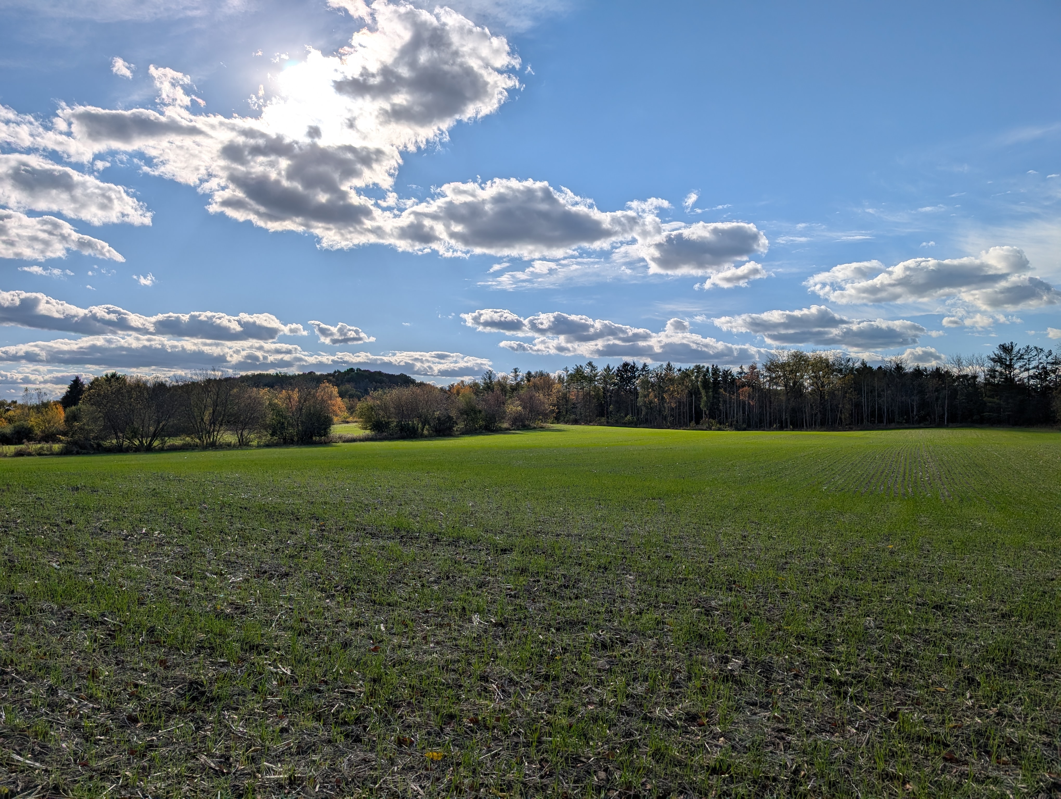 New Munster Wildlife Area photo 4