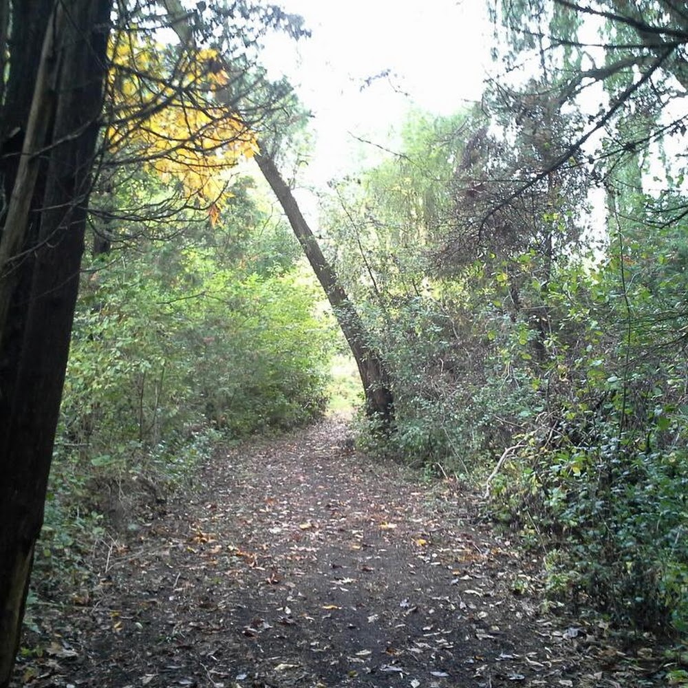 Ora Rice Arboretum