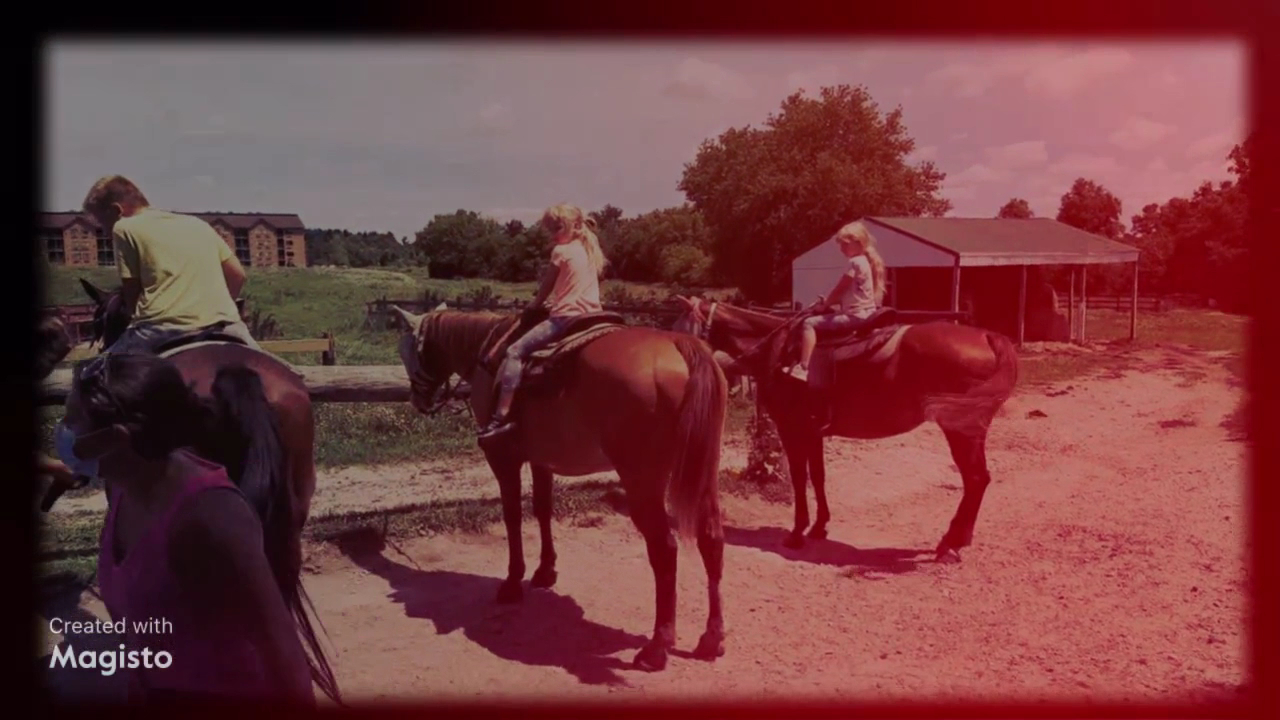 Dan Patch Stables photo 2