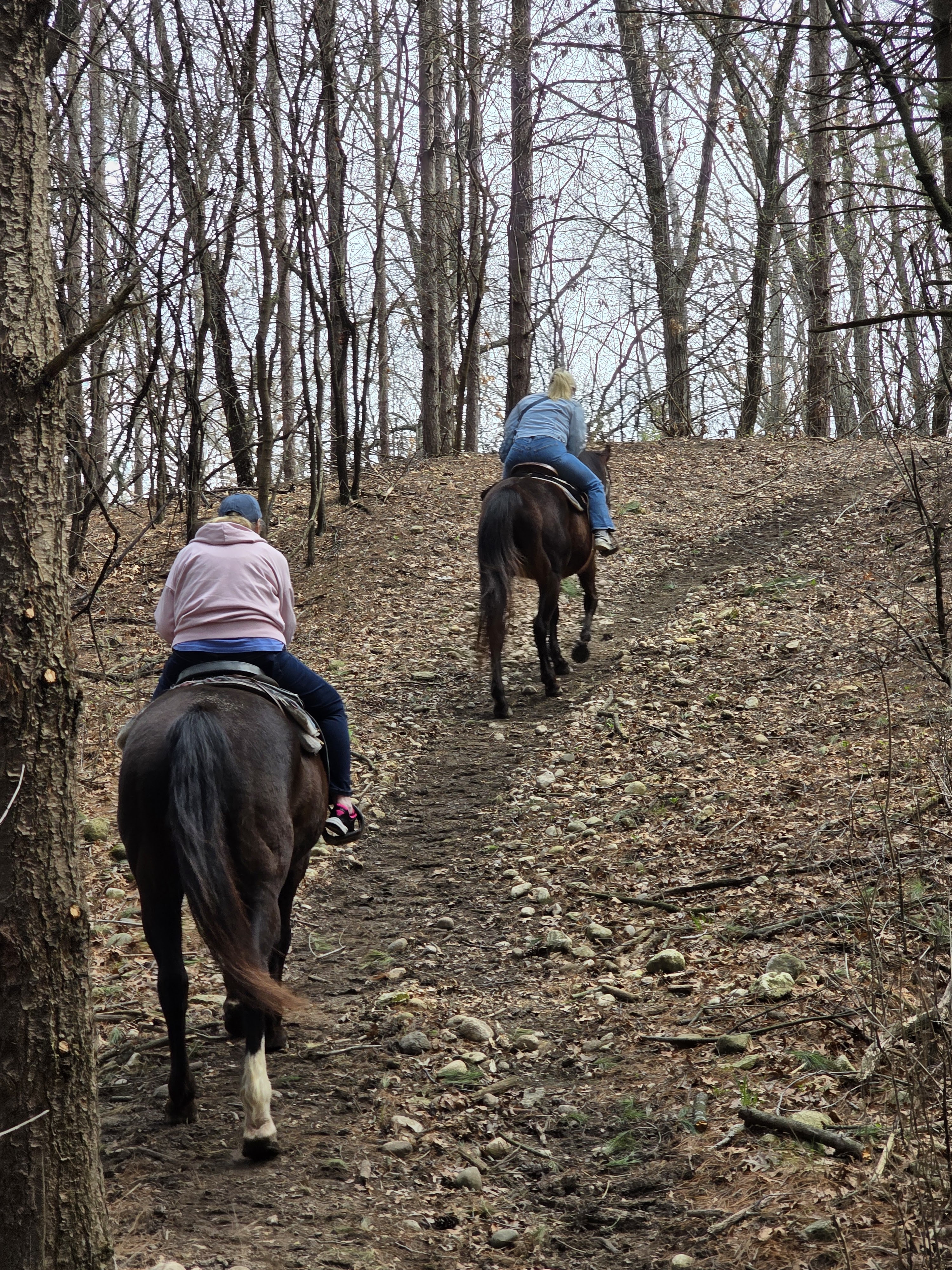 Dan Patch Stables photo 4