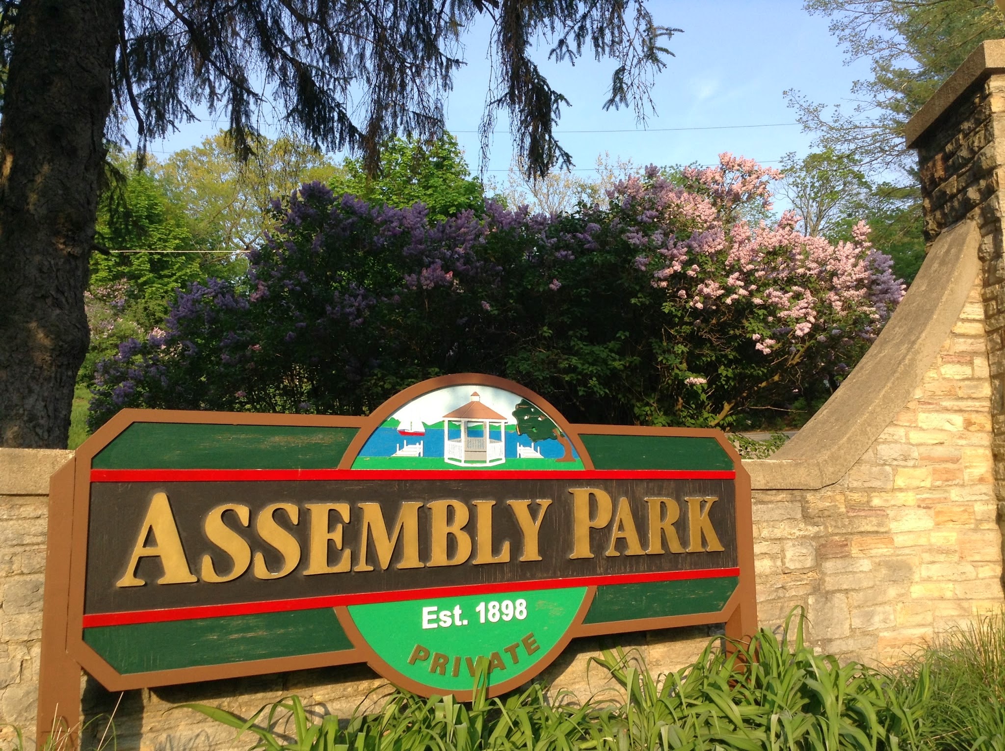Assembly Park photo 2