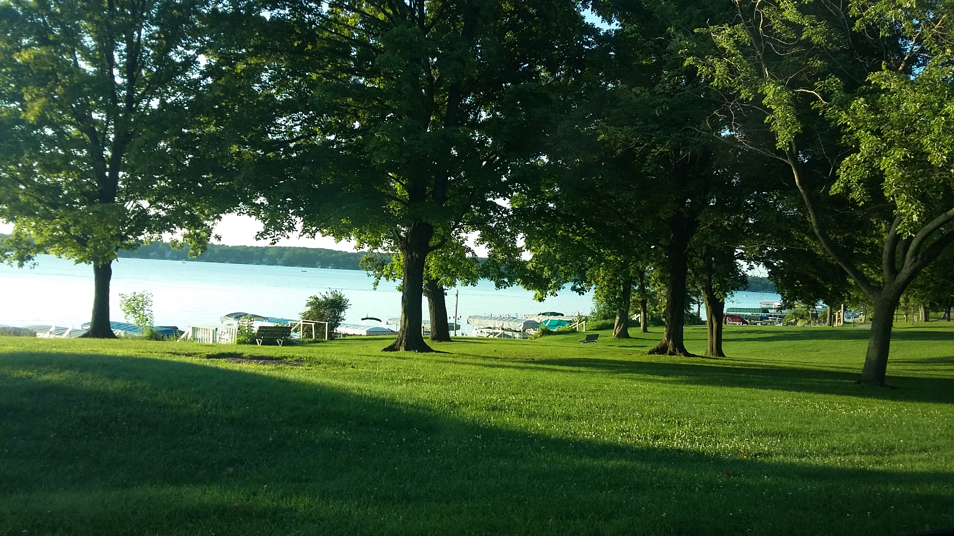 Assembly Park photo 6