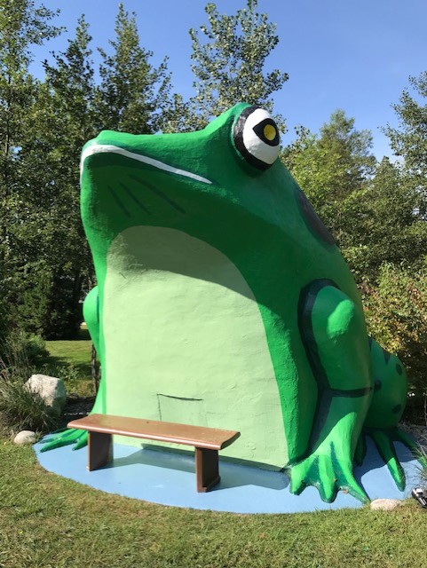 Fontana C. Frog photo 2