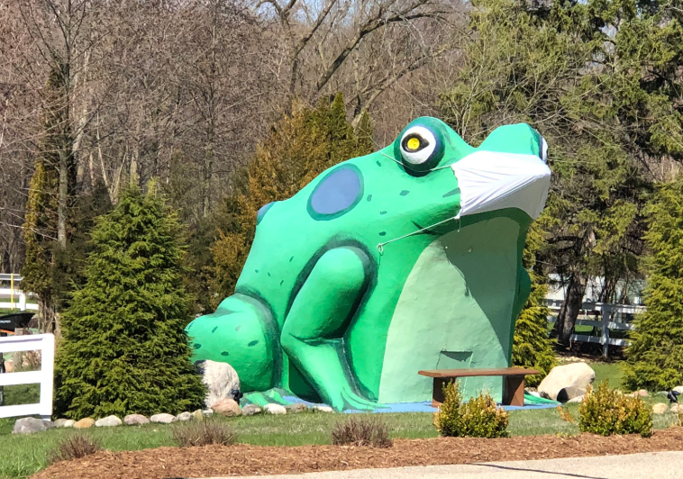 Fontana C. Frog photo 3